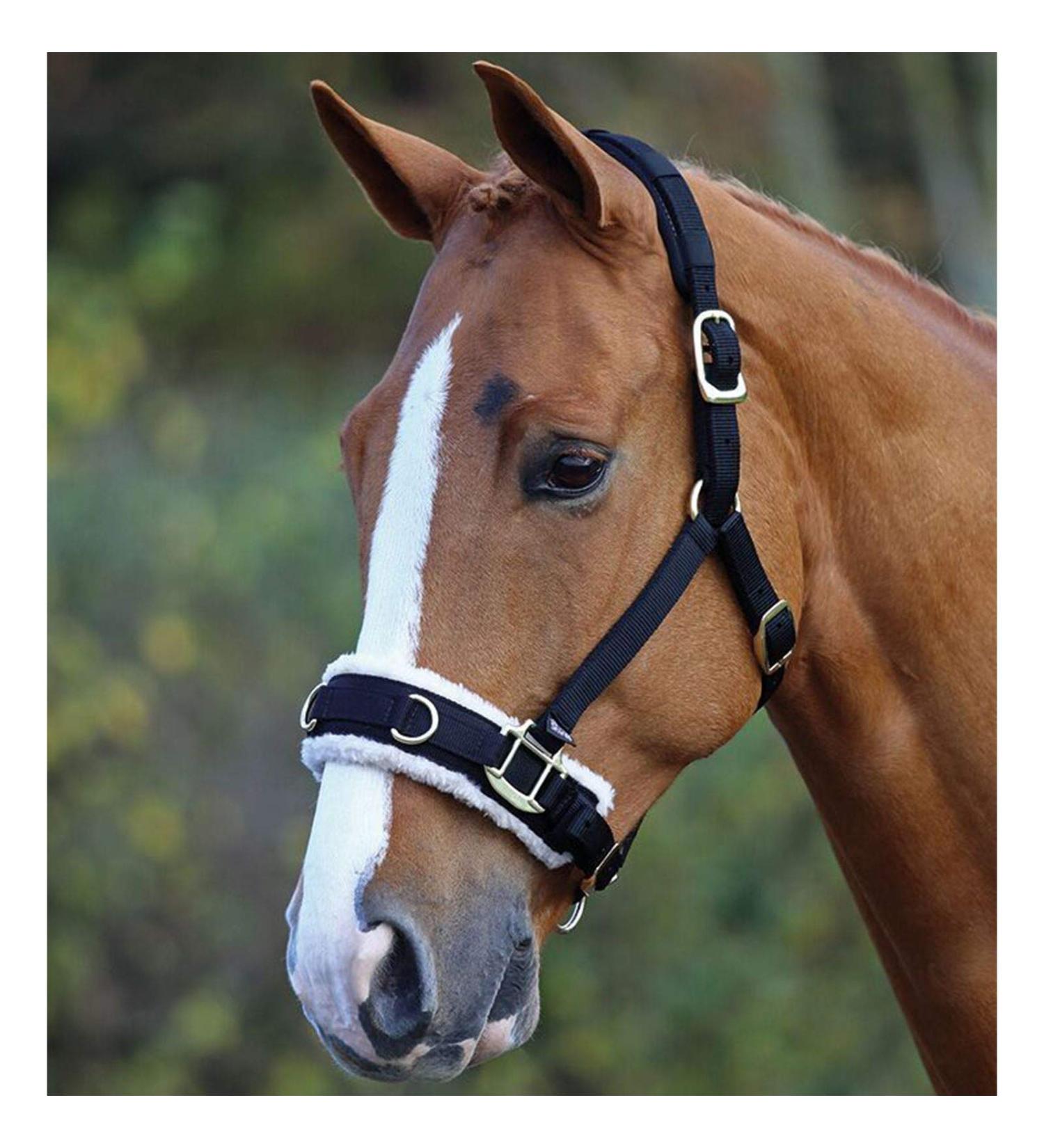 White Horse Equestrian Training Fleece Lined Padded Adjustable Lunging Cavesson