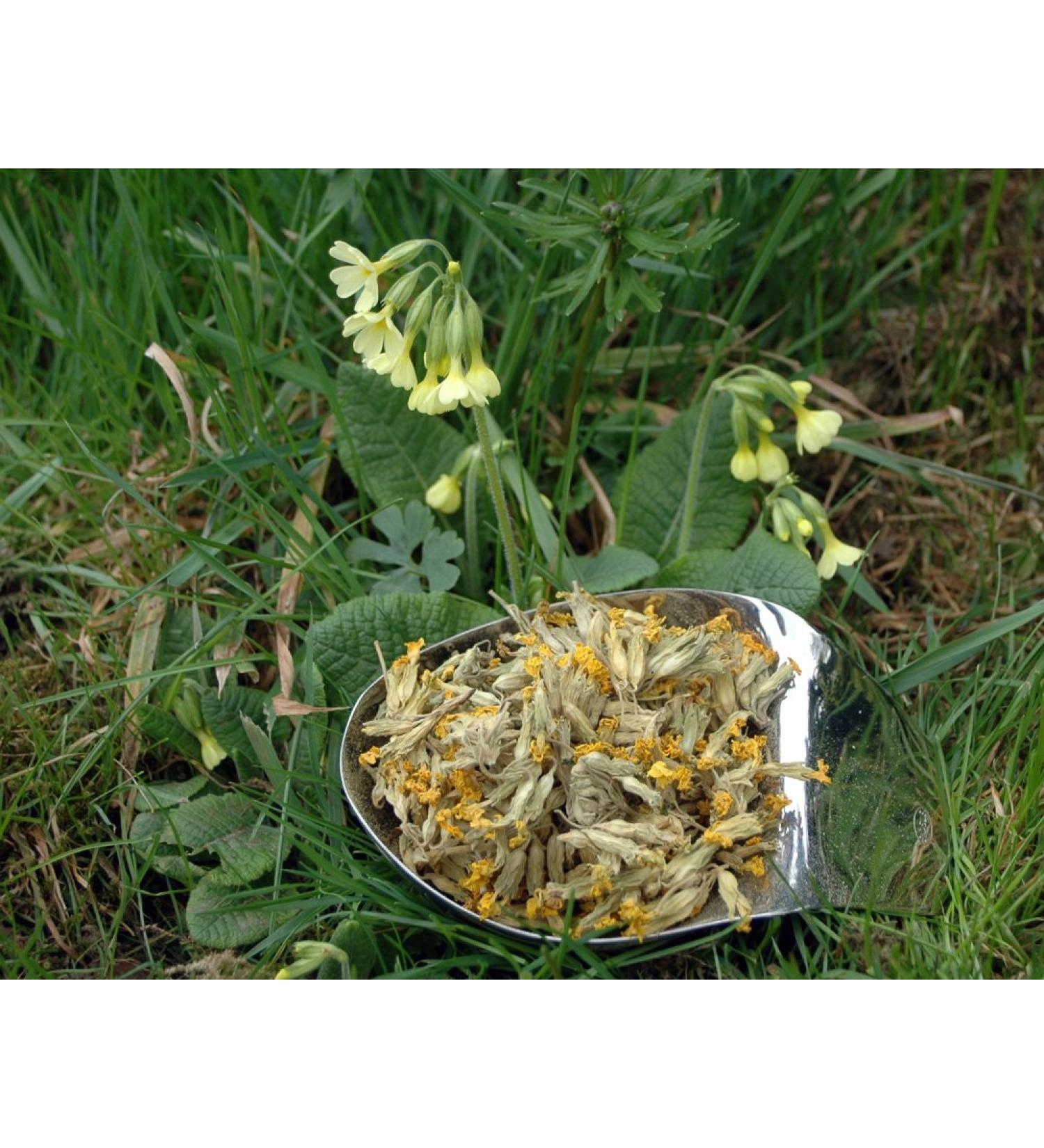 Naturix24 Key Flower Tea Key Flowers 1 Bag