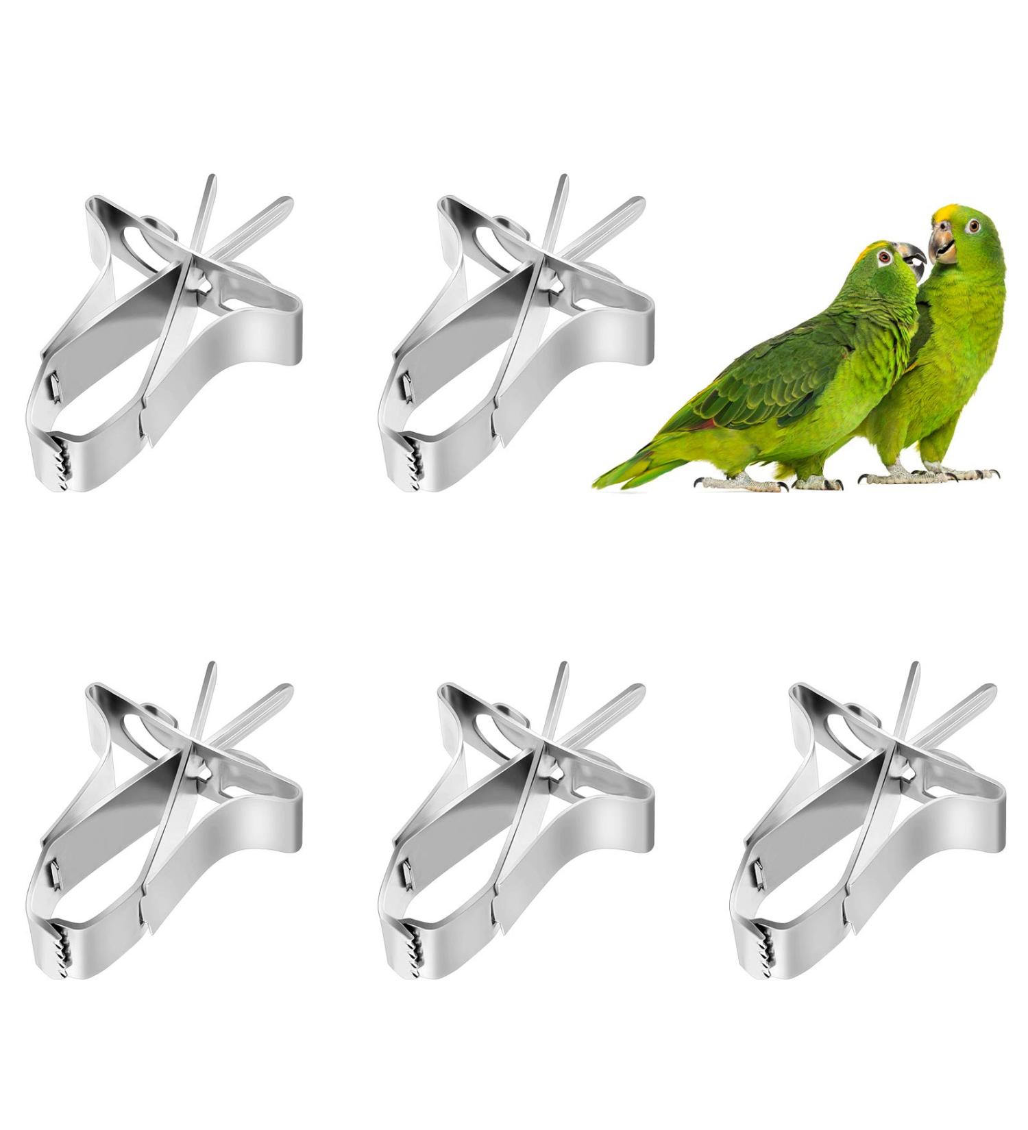 Parrots Fruit & Vegetable Feeder Clip - 5-Pack Metal Bird Cage Accessories for Sittiche & Nymphensittiche - Buy Online on GoSupps.com
