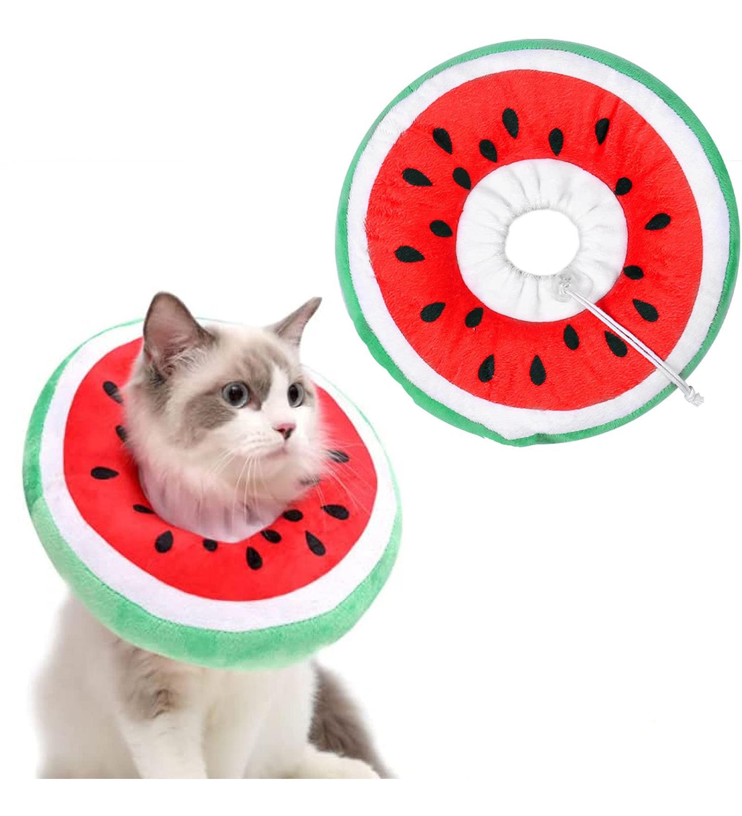Crazy Bean Postoperative Protective Collar for Cats | Soft Adjustable & Comfortable Kitten Collar in Watermelon - Safe Recovery Solution - Buy Online on GoSupps.com