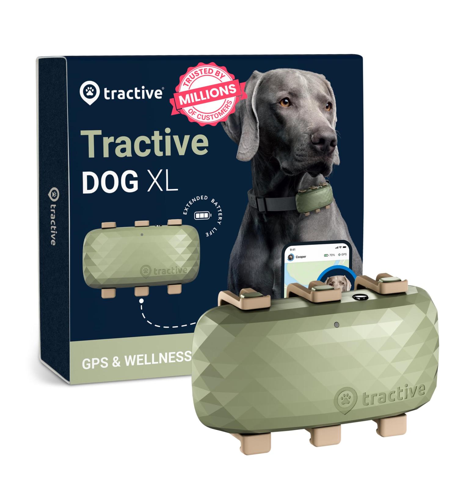 Tractive XL GPS Dog Tracker | 1 Month Battery Life | Global Real-Time Location | Escape Alerts | Health Monitoring - Buy Online on GoSupps.com