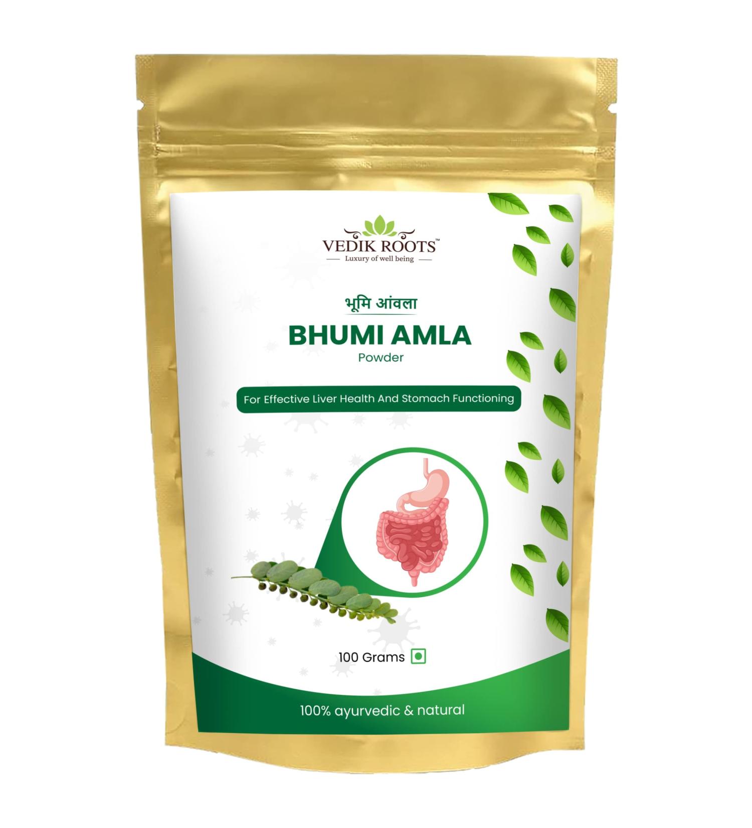 Organic Bhumi Amla Powder - Rich in Antioxidant Vitamin C - Supports Healthy Immune Function 100Gm (Pack of 1) 3.53 Ounce (Pack of 1) - Buy Online on GoSupps.com
