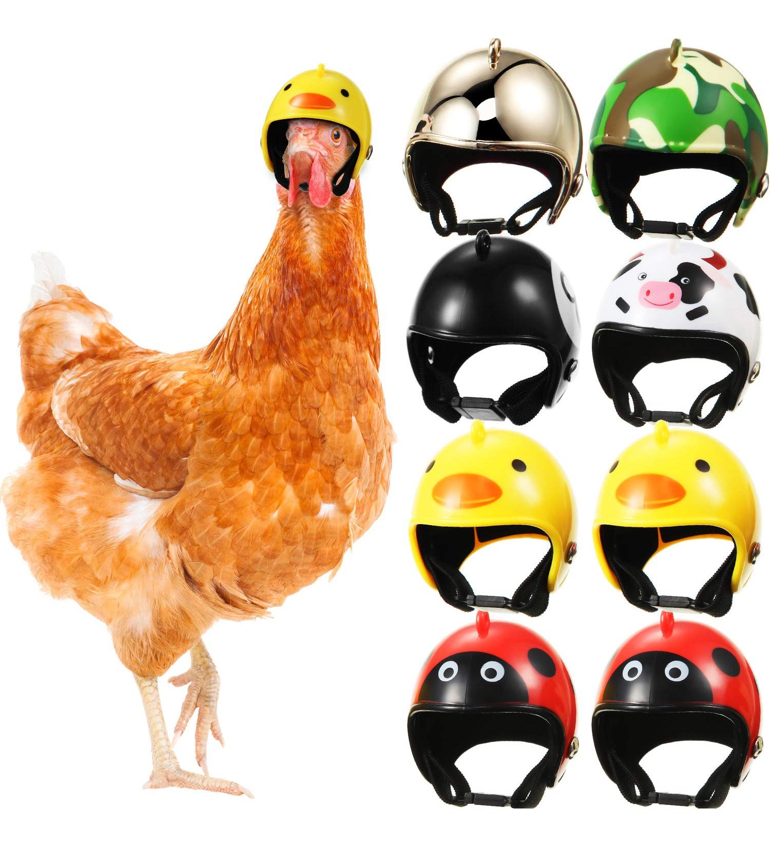 8-Piece Hens Helmet Set for Pet Safety and Fun - Camouflage Parrot Chicken Bird Hat and Headwear Costume Accessories - Buy Online on GoSupps.com