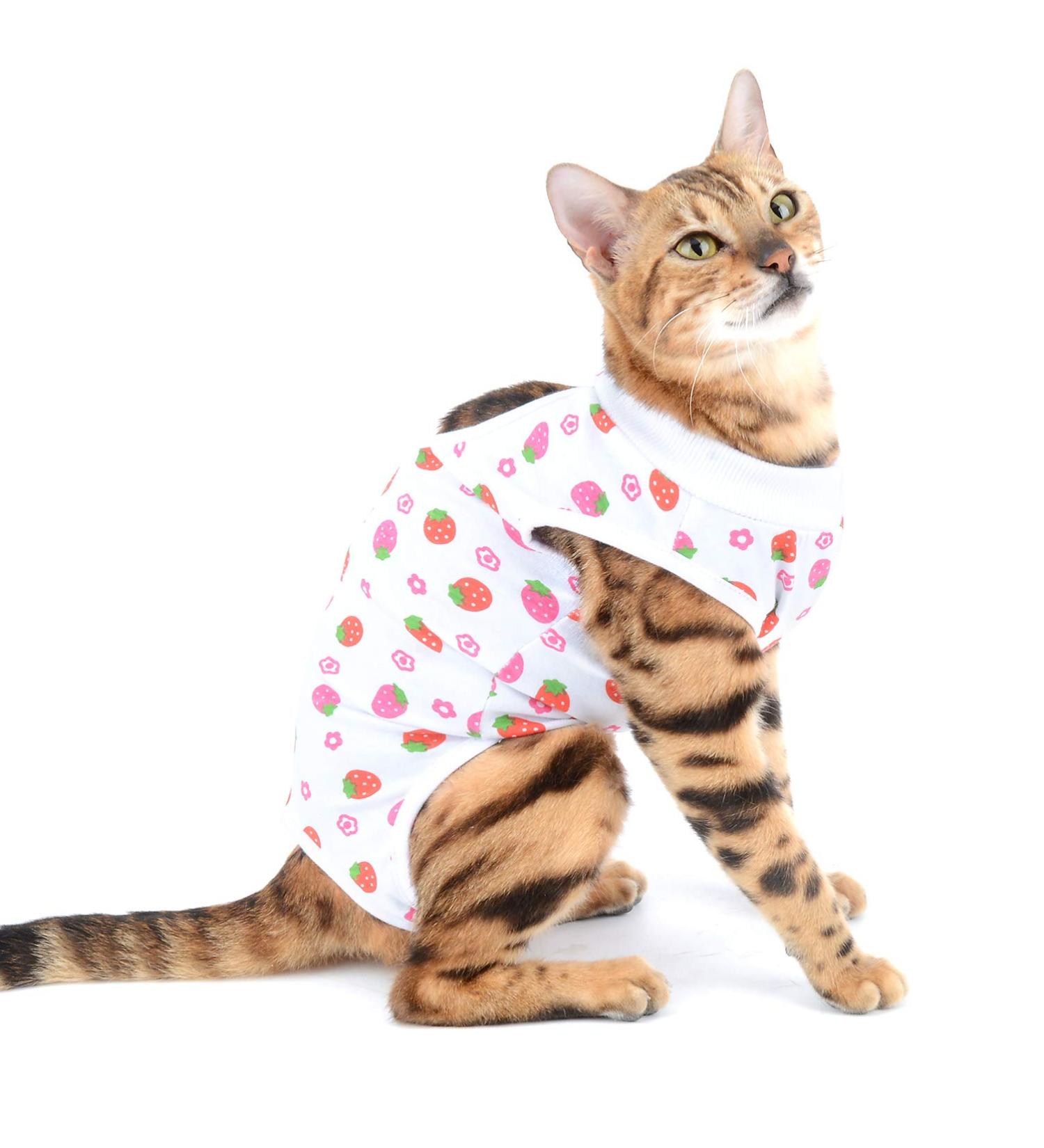 Selmai Medical Pet Shirt - Soft Cotton E-collar Alternative for Dogs & Cats | Wound Protection & Nursing Clothing | Prevent Licking & Skin Diseases - Size L Red Strawberry - Buy Online on GoSupps.com