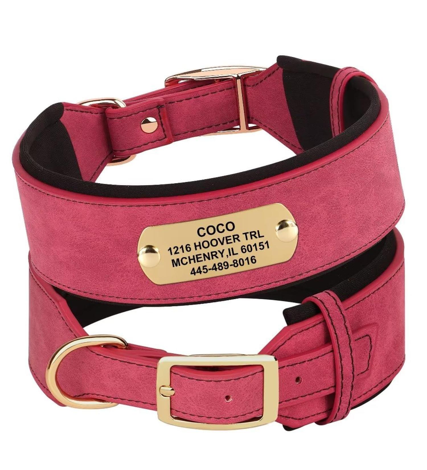 Personalized Red Padded Leather Dog Collar with Name Tag | Medium-Sized Dogs | Custom Engraved Collars - Neck 33-41cm Width 3cm - Buy Online on GoSupps.com