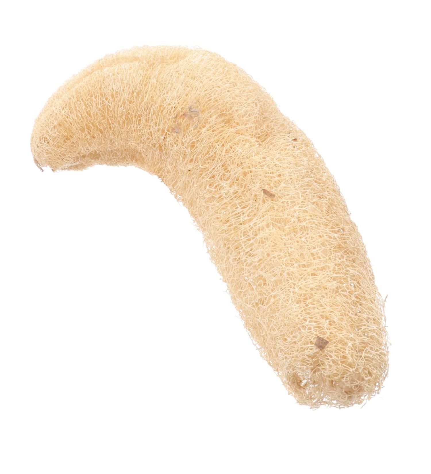 Natural Loofah Bath Sponge - Smooth & Glabrous Skin Scrubber | 1pc Shower & Bath Supplies - Buy Online on GoSupps.com