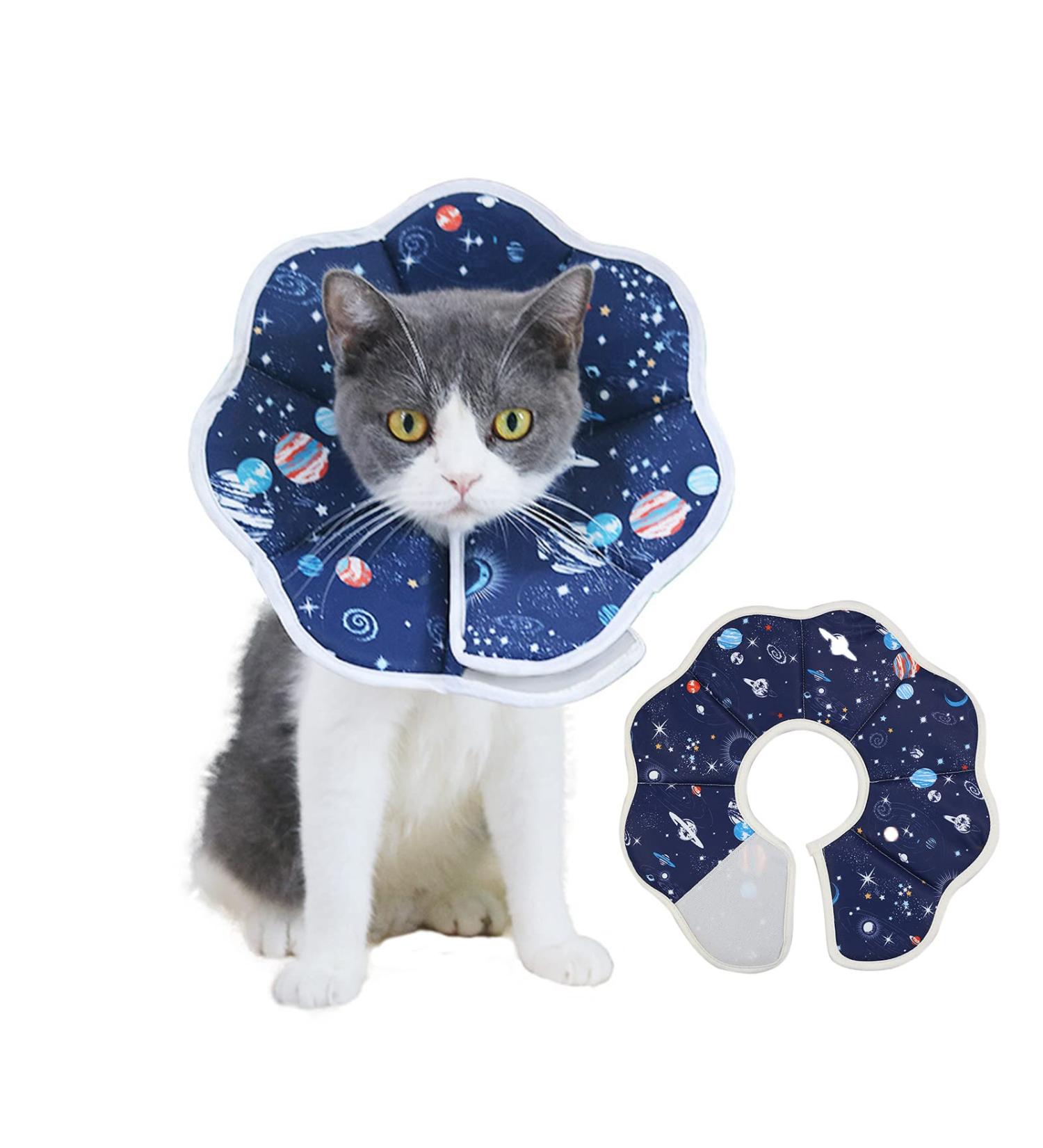 Oismys Cat Recovery Collar | Soft Adjustable Cone for Cats & Puppies | Lightweight & Waterproof | Stop Licking After Surgery | Daily Use | M Size (Neck Girth 7.5-9.8in) - Buy Online on GoSupps.com