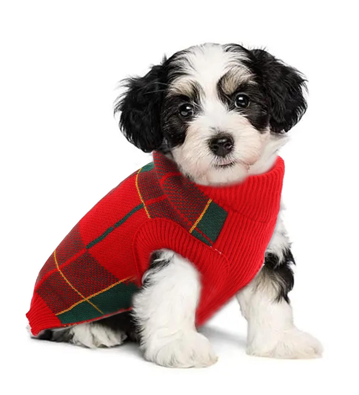 Katzinst Dog Sweater for Small Dogs | Christmas Fleece Sweater for French Bulldog Dachshund Chihuahua Yorkshire | Stylish Red & Green XS - Buy Online on GoSupps.com