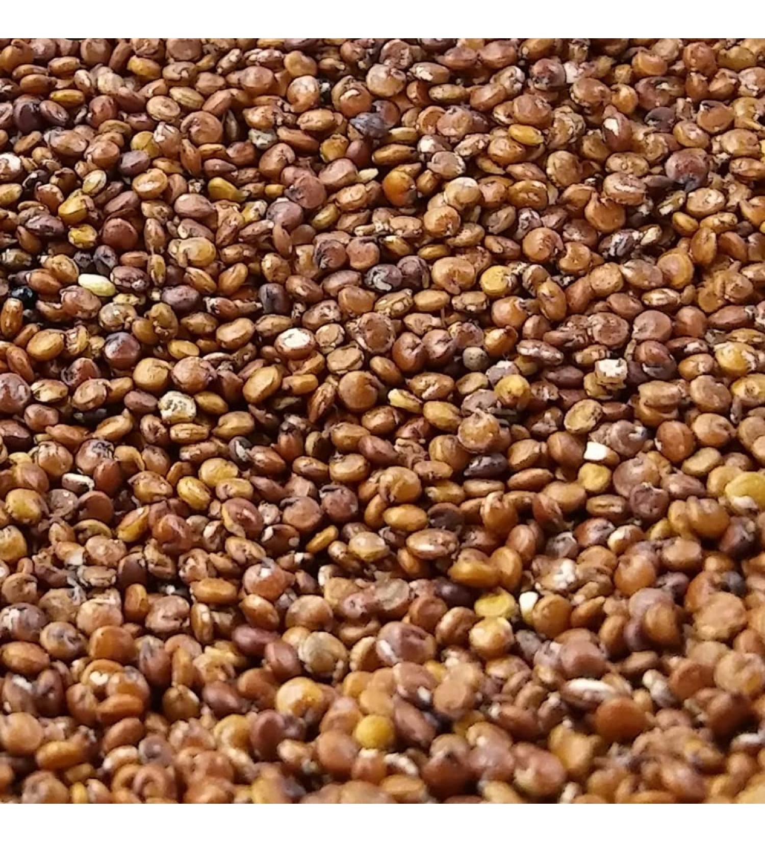 Organic Quinoa Red Peru 500g