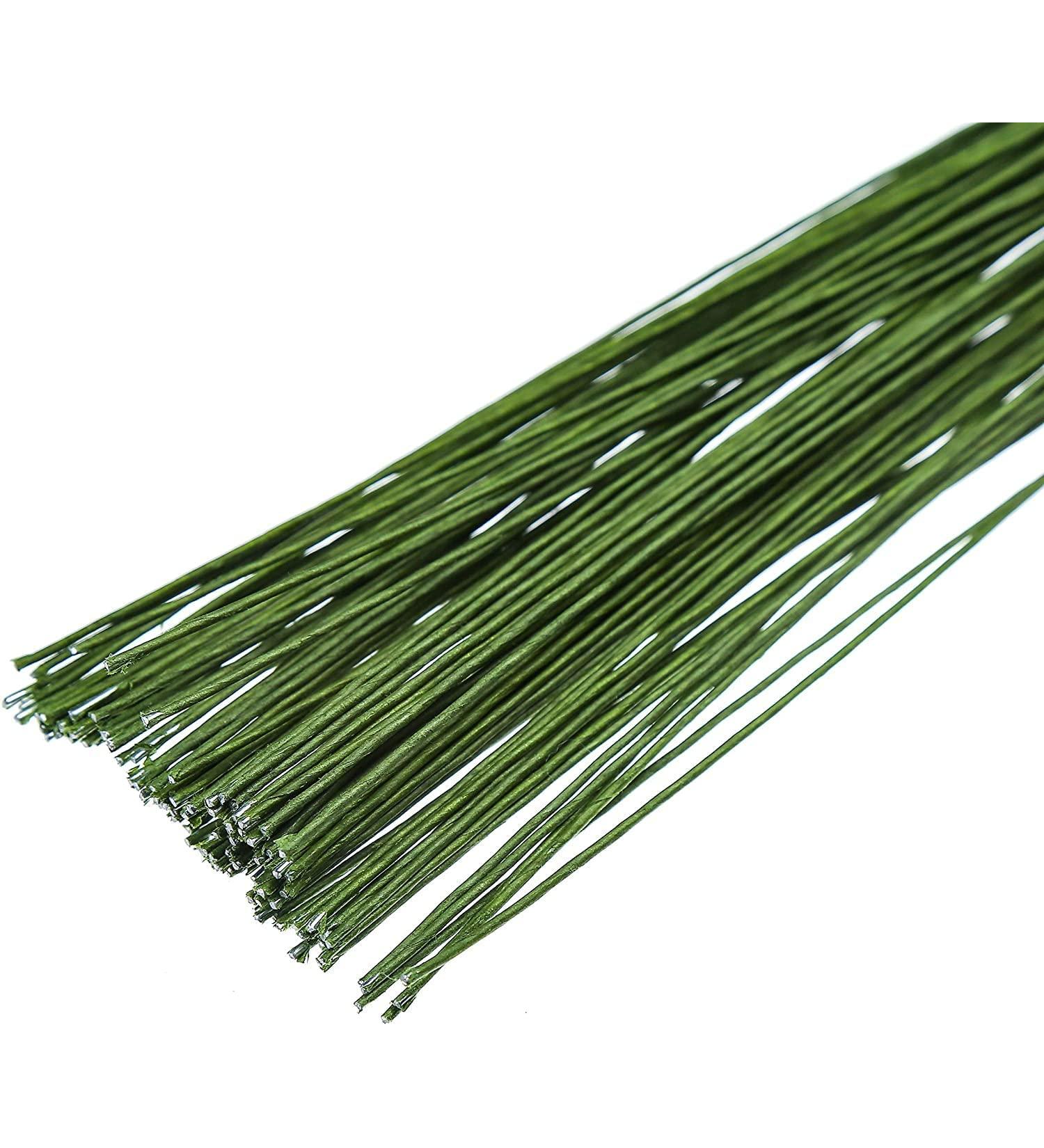 FOIMAS 18 Gauge Floral Stem Wire 100pcs - Paper Wrapped Florist Wire for Arrangements - Buy Online on GoSupps.com
