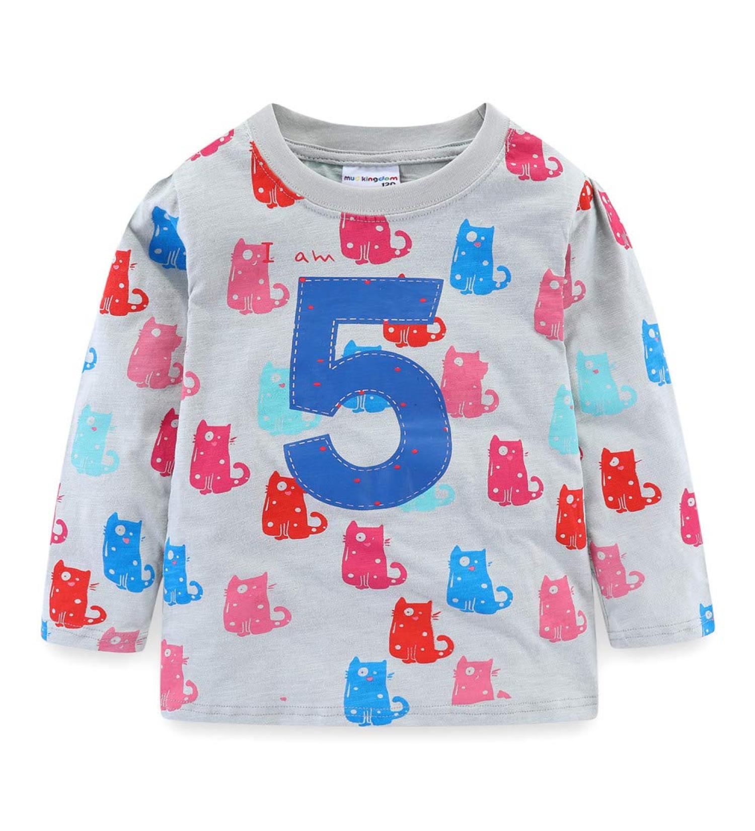 Mud Kingdom Cute Cartoon Birthday Shirt for 5 Year Old Girls - Long Sleeve Gray Shirt for Boys - Kids Fashion - Buy Online on GoSupps.com