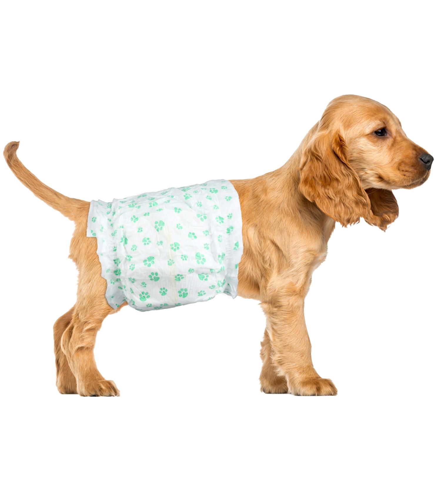 Scratche XL Male Dog Diapers - Super Absorbent Leakproof 40 Count | Best for Urination & Incontinence - Buy Online on GoSupps.com