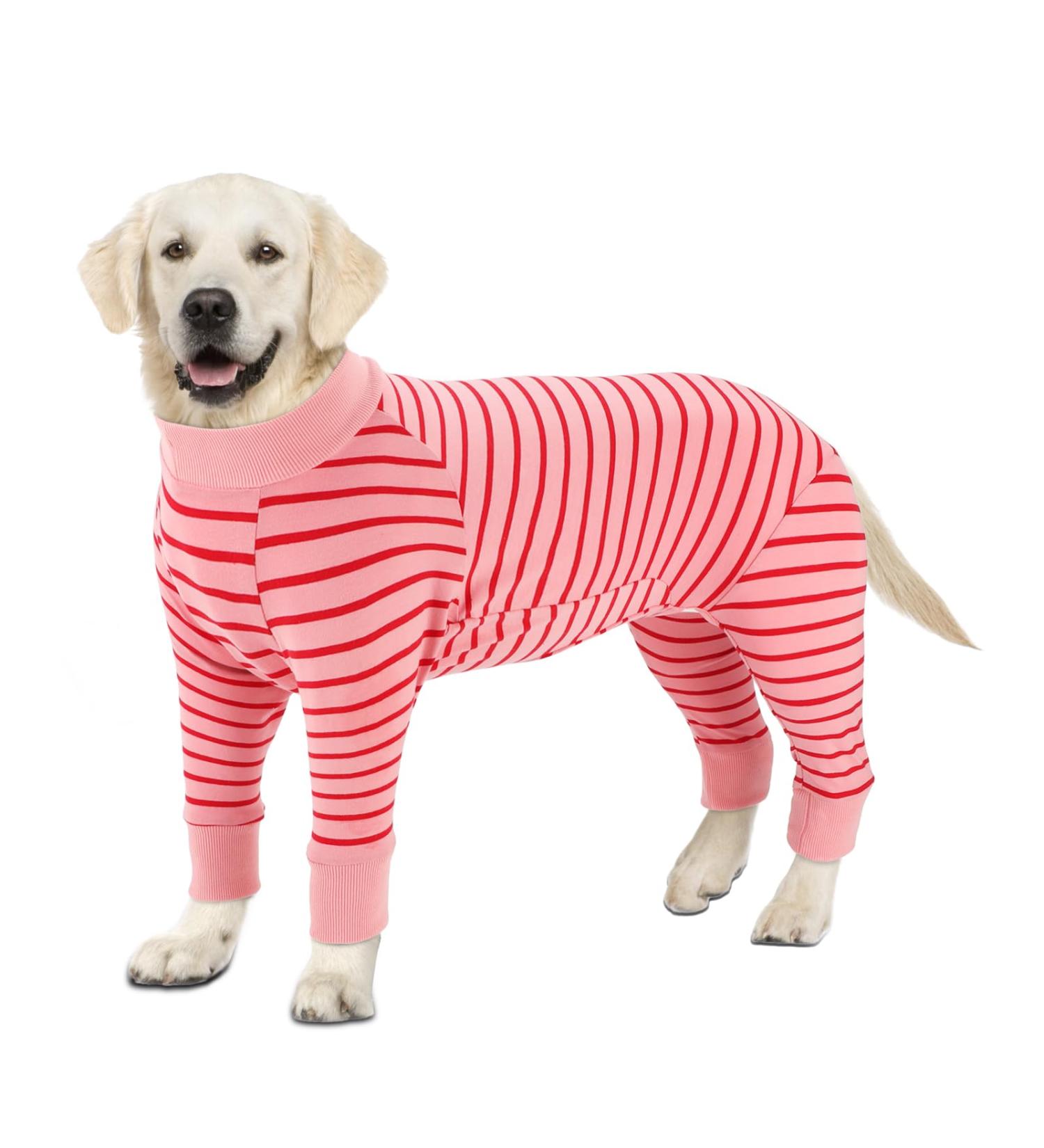 Ranypet One-Divider Dog Pajamas - Surgical Recovery Suit for Large Medium Dogs | Anti-Lick Wound Protection | 2XL Pink - Buy Online on GoSupps.com