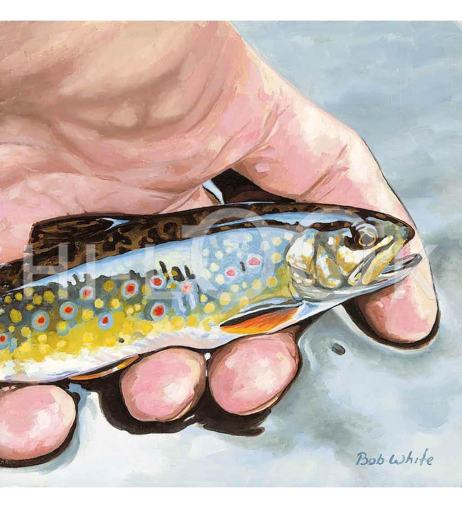 Hi-Look Microfiber Cleaning Cloth - Brook Trout
