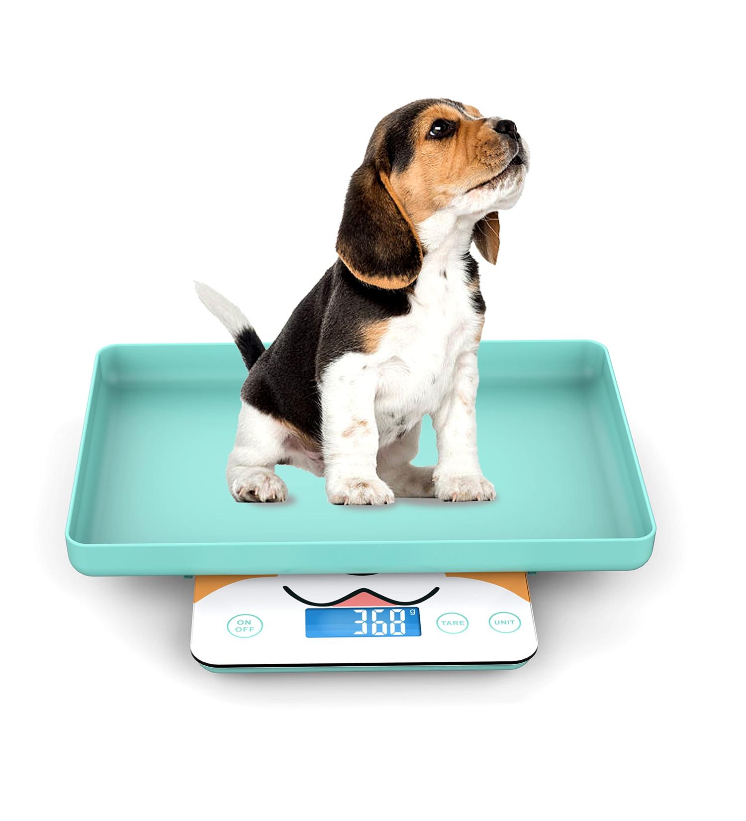Puppy Scale - Accurate Pet Scale for Newborn Dogs & Cats 15kg Capacity 1g Precision Removable Tray in Blue - Buy Online on GoSupps.com