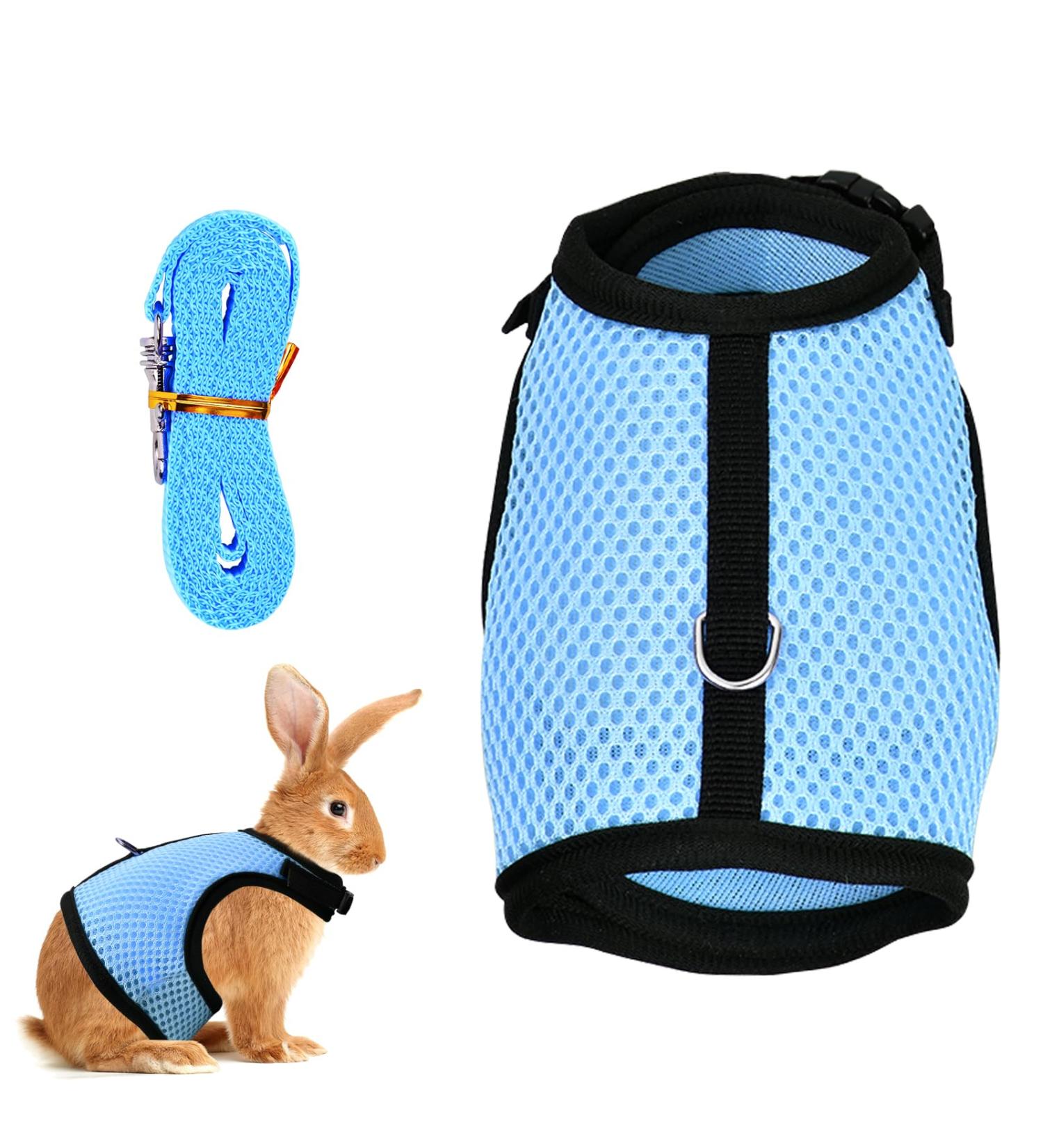 Tibapla Adjustable Rabbit Dishes & Leash for Small Pets - Mesh Bunny & Kitty Dish (Medium Blue) - Buy Online on GoSupps.com