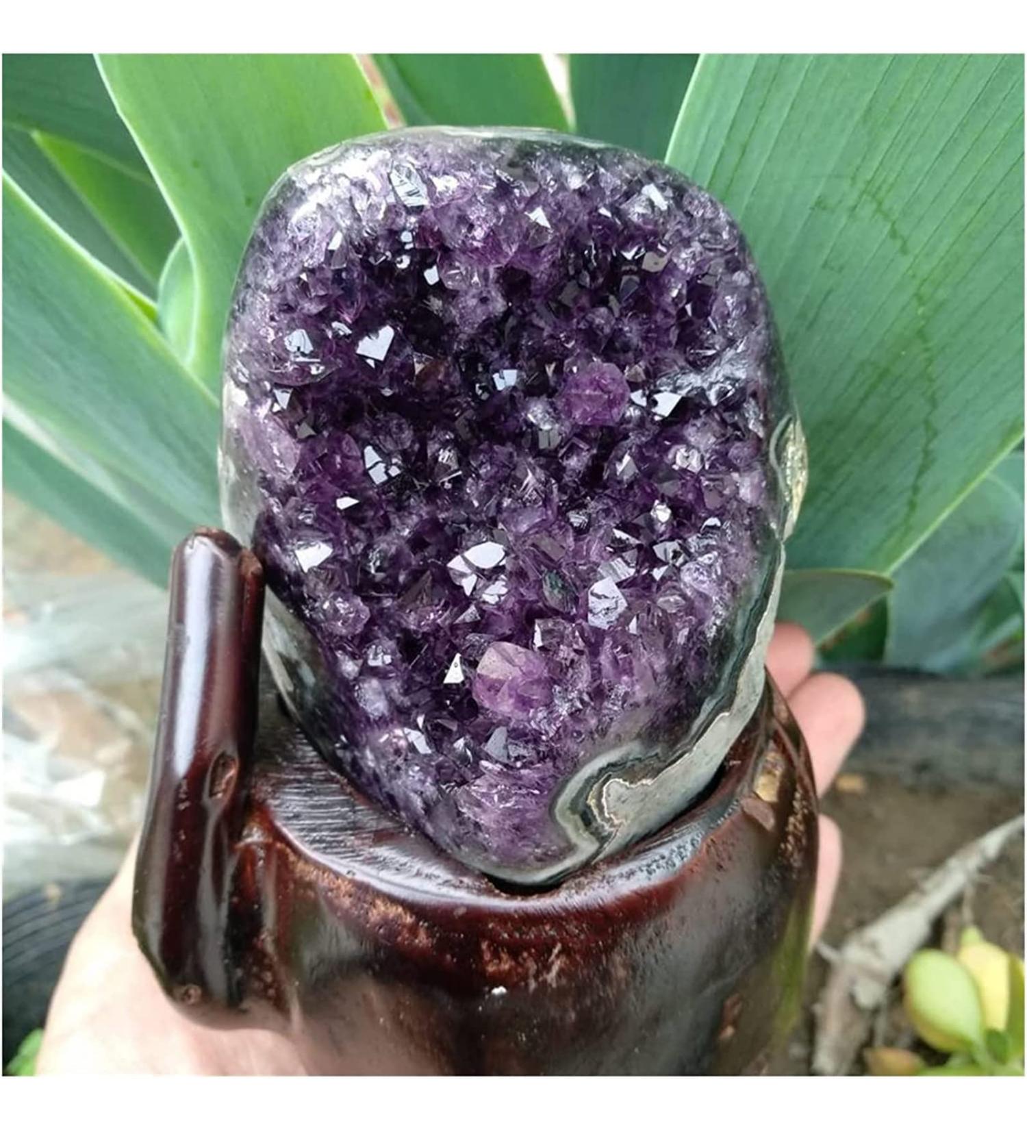 Amethyst Rough Stone 800g Amethyst Quartz Cluster - Uruguayan - Crystals - Gemstones - Geodes - Minerals Stone Collection - Buy Online on GoSupps.com