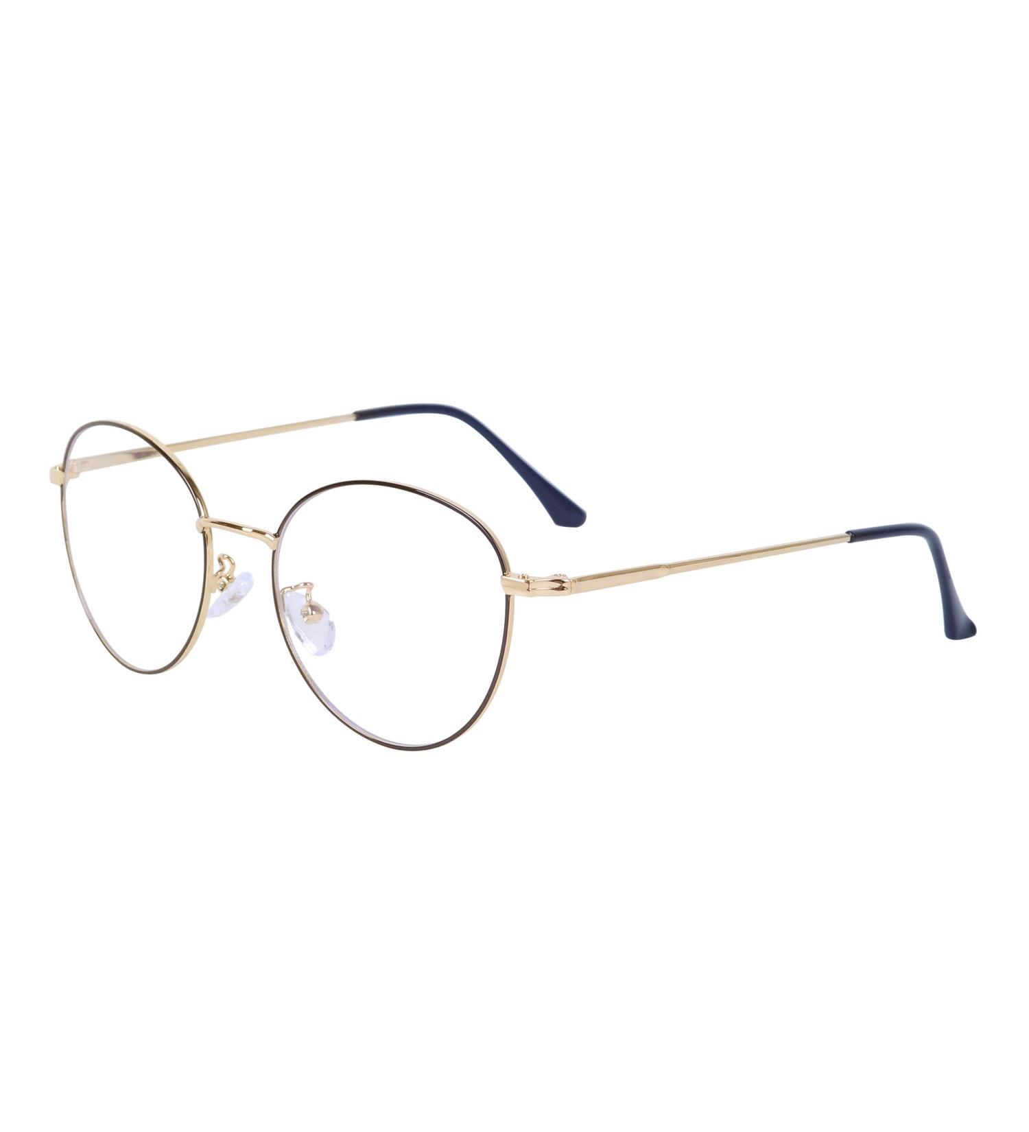 Joxigo Retro Round Anti-Blue Light Computer Glasses - UV Protection No Prescription Metal Frame - Black & Gold with Protective Case - Buy Online on GoSupps.com