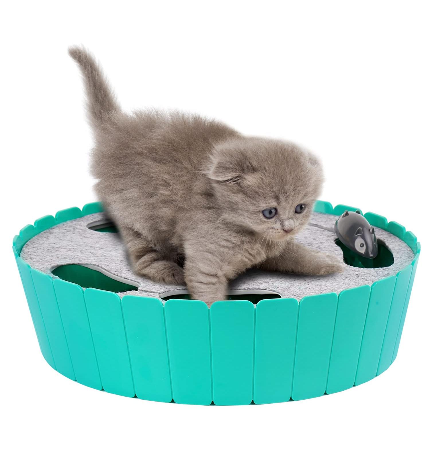 Shop Pawaboo Electric Mouse Cat Toys - Interactive Kitten Fun Safe Play Balls Cat Bed & Scratch Mat - Blue - Buy Online on GoSupps.com