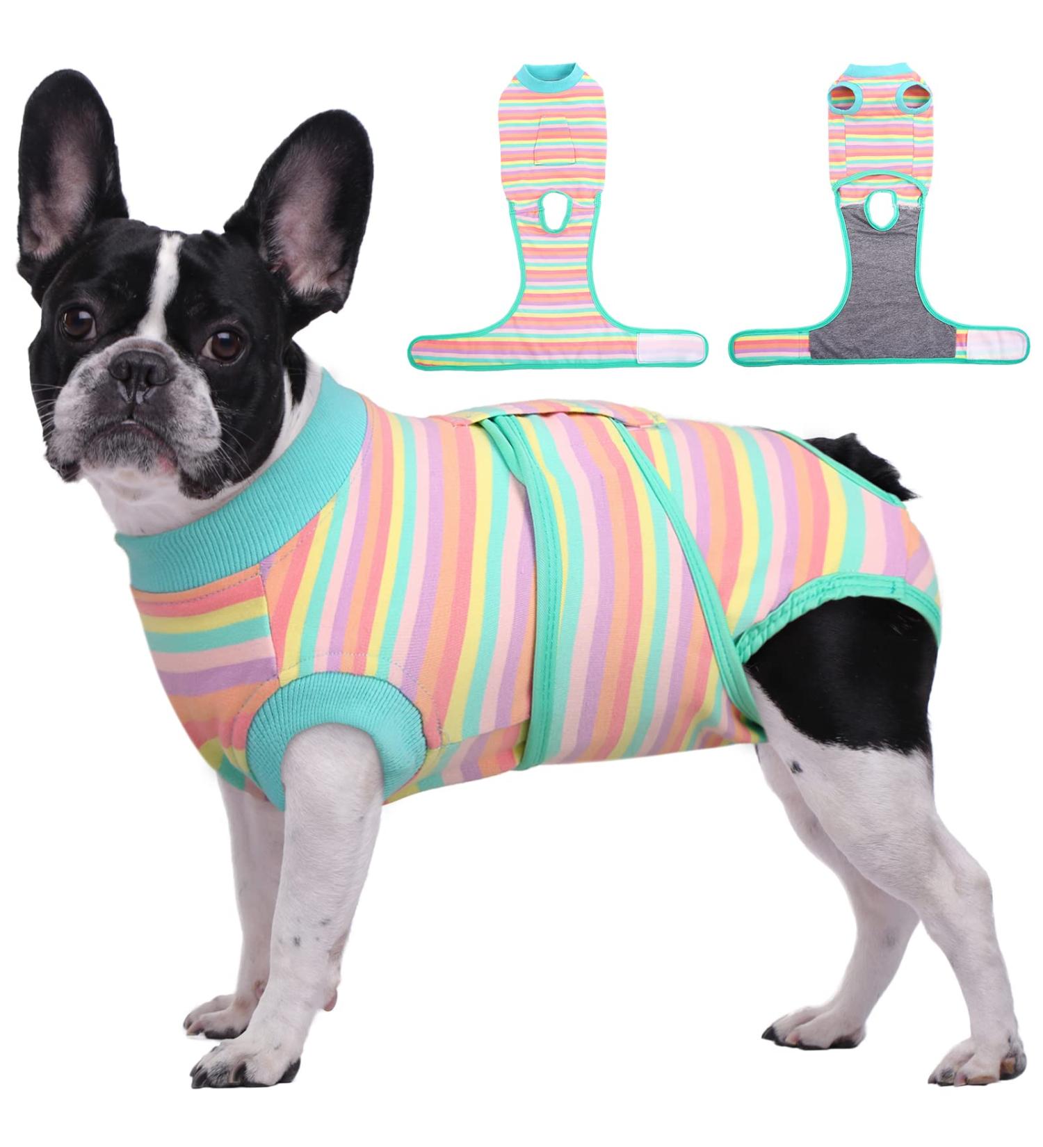 Kuoser Dog Body After Surgery - Breathable Protective Collar for Male/Female Dogs & Cats - XS Purple Stripes - Leak Protection & Comfort - Buy Online on GoSupps.com