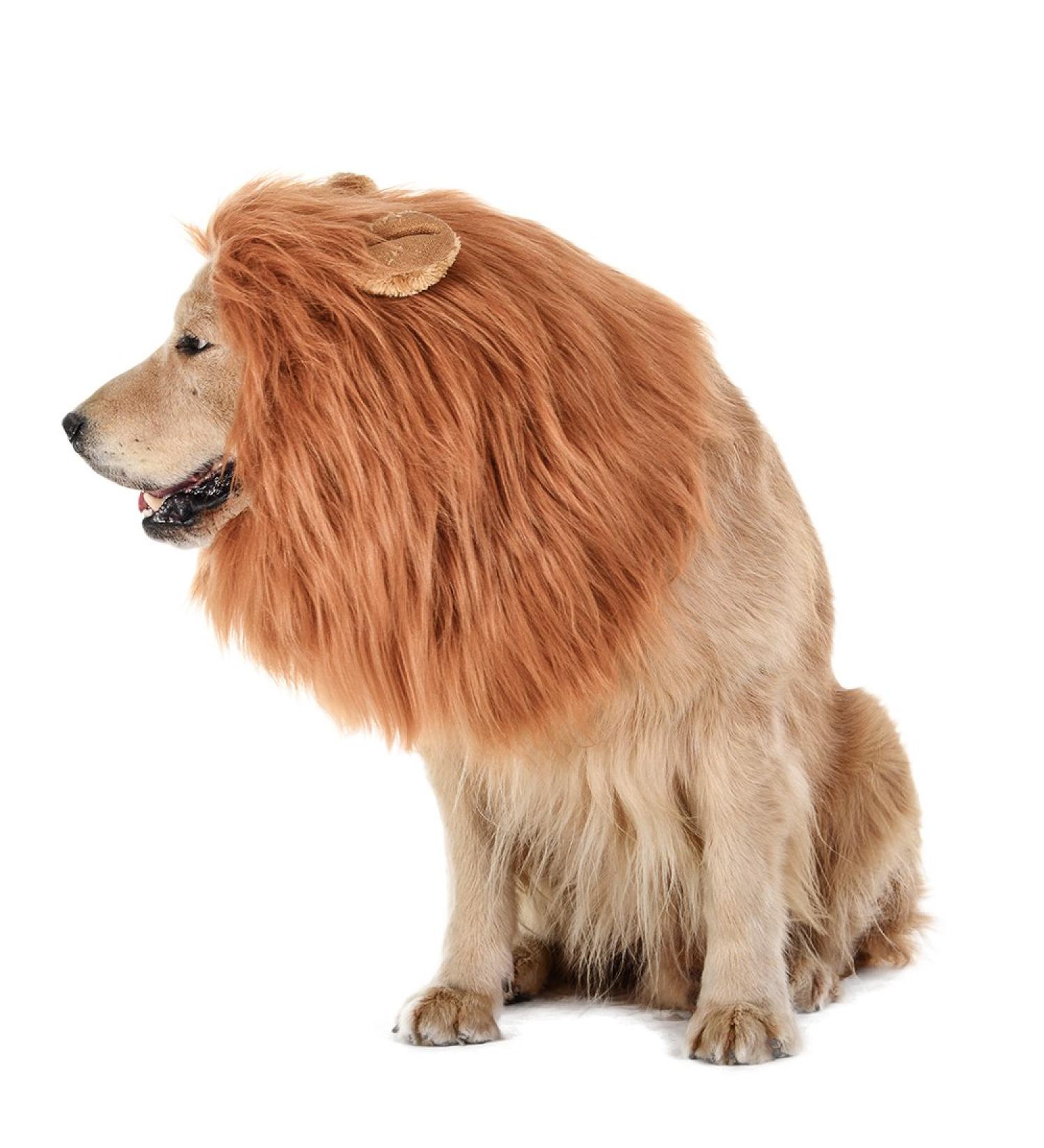 TOMSENN Dog Lion Mane - Realistic & Funny Costume Accessory for Medium to Large Dogs - Buy Online on GoSupps.com