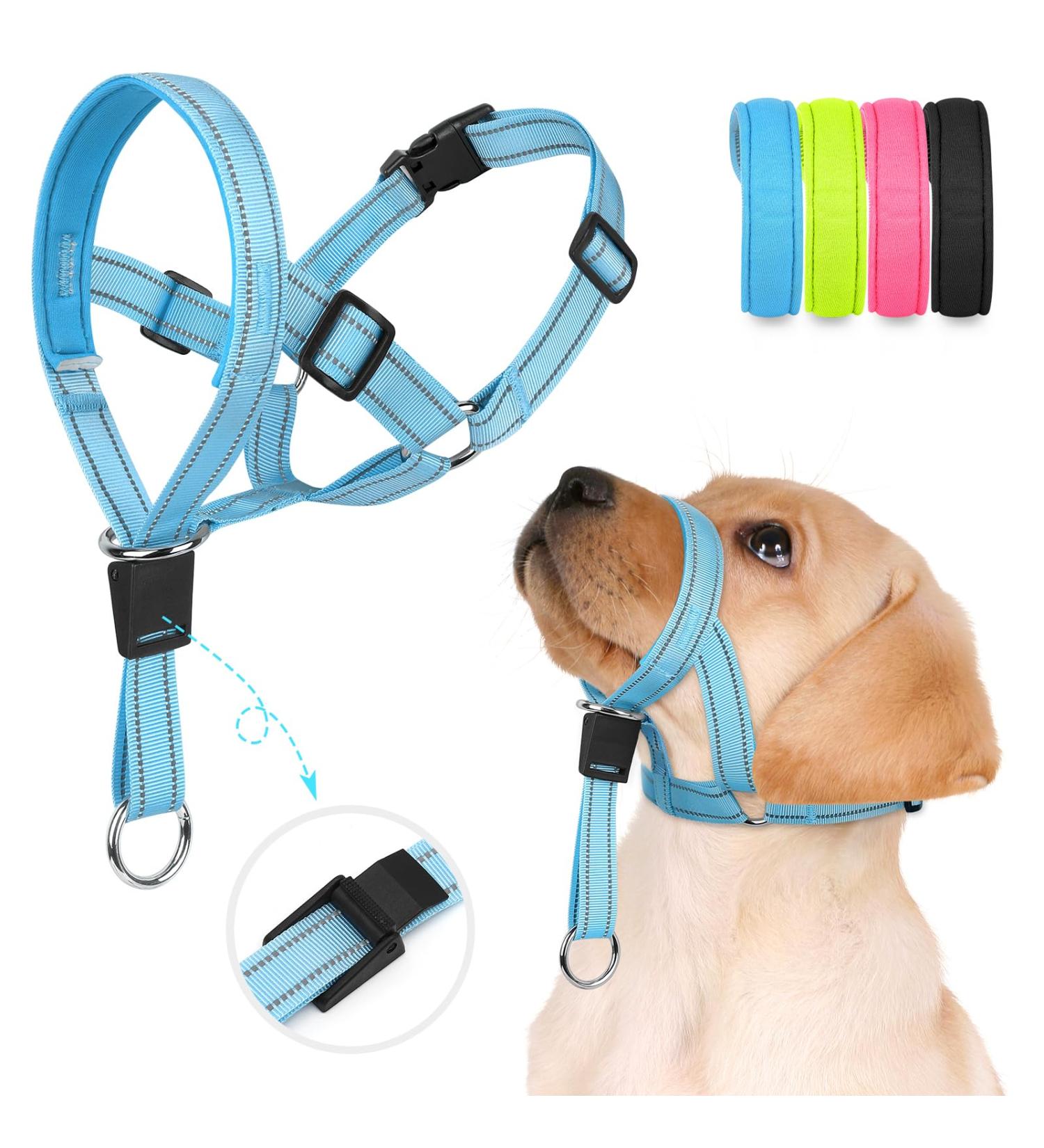 Weesiber Soft Dog Collar - Adjustable Padded Halter with Reflective Safety Strips for Small Dogs | No Pulling Perfect for Training & Walking (Blue) - Buy Online on GoSupps.com