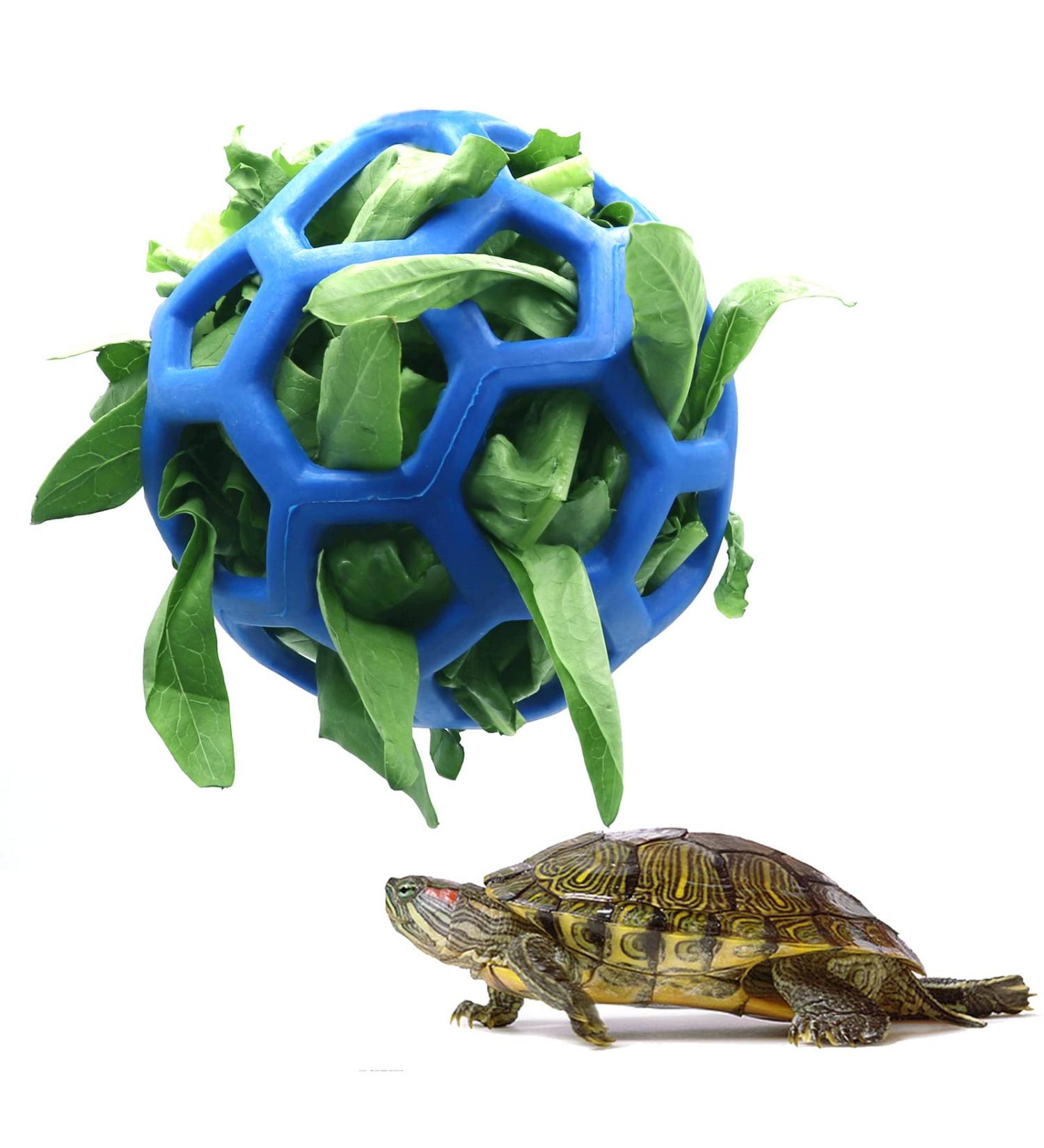 Lodczioe Turtle Lubrica Ball Toy - Hay Feeder for Turtles & Small Pets | Blue Feeding Grass Ball for Fruits & Vegetables - Buy Online on GoSupps.com