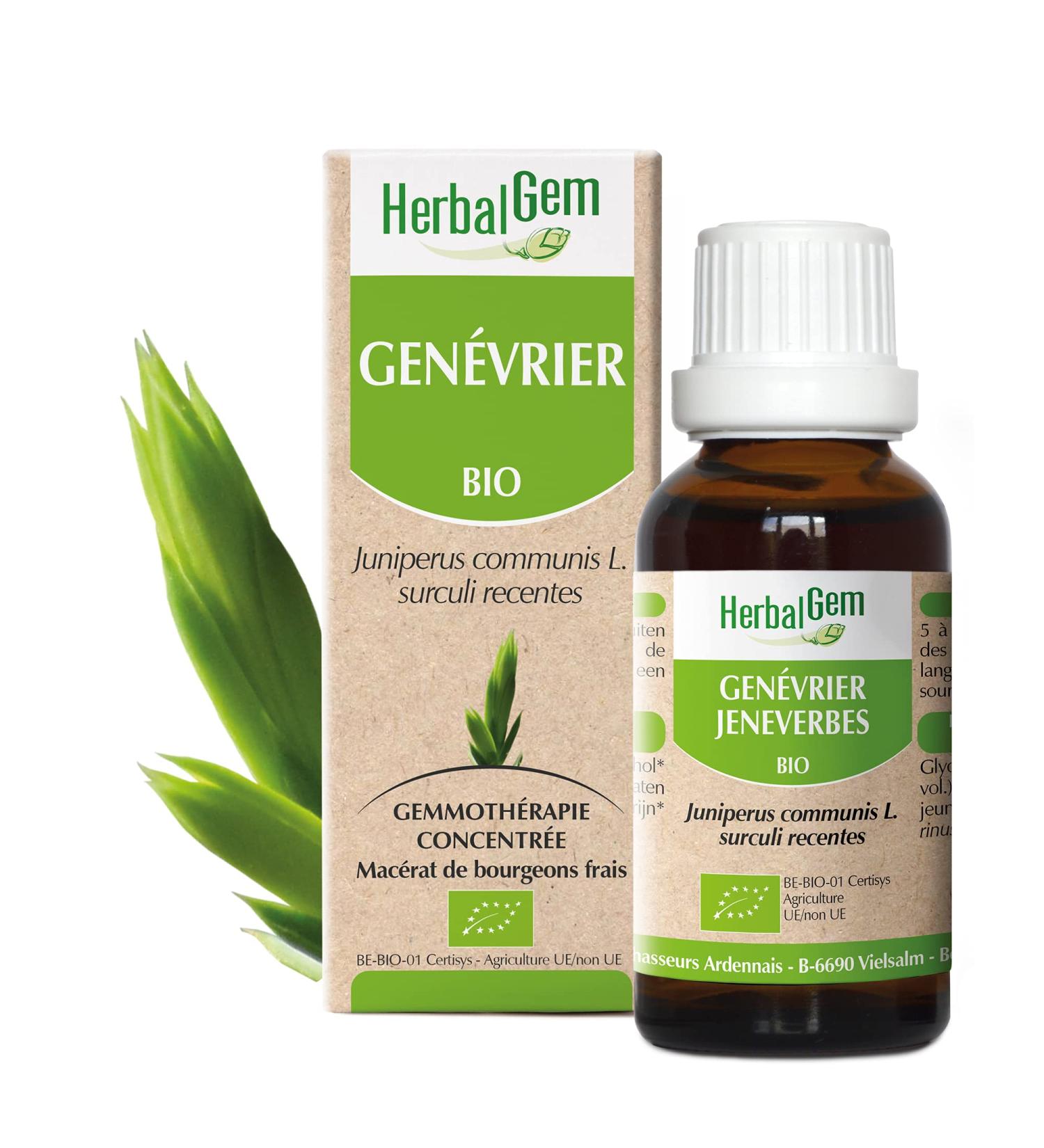 HerbalGem |Organic Juniper|Macerats-Mother Gemmotherapy Concentrate|30ml - Buy Online on GoSupps.com