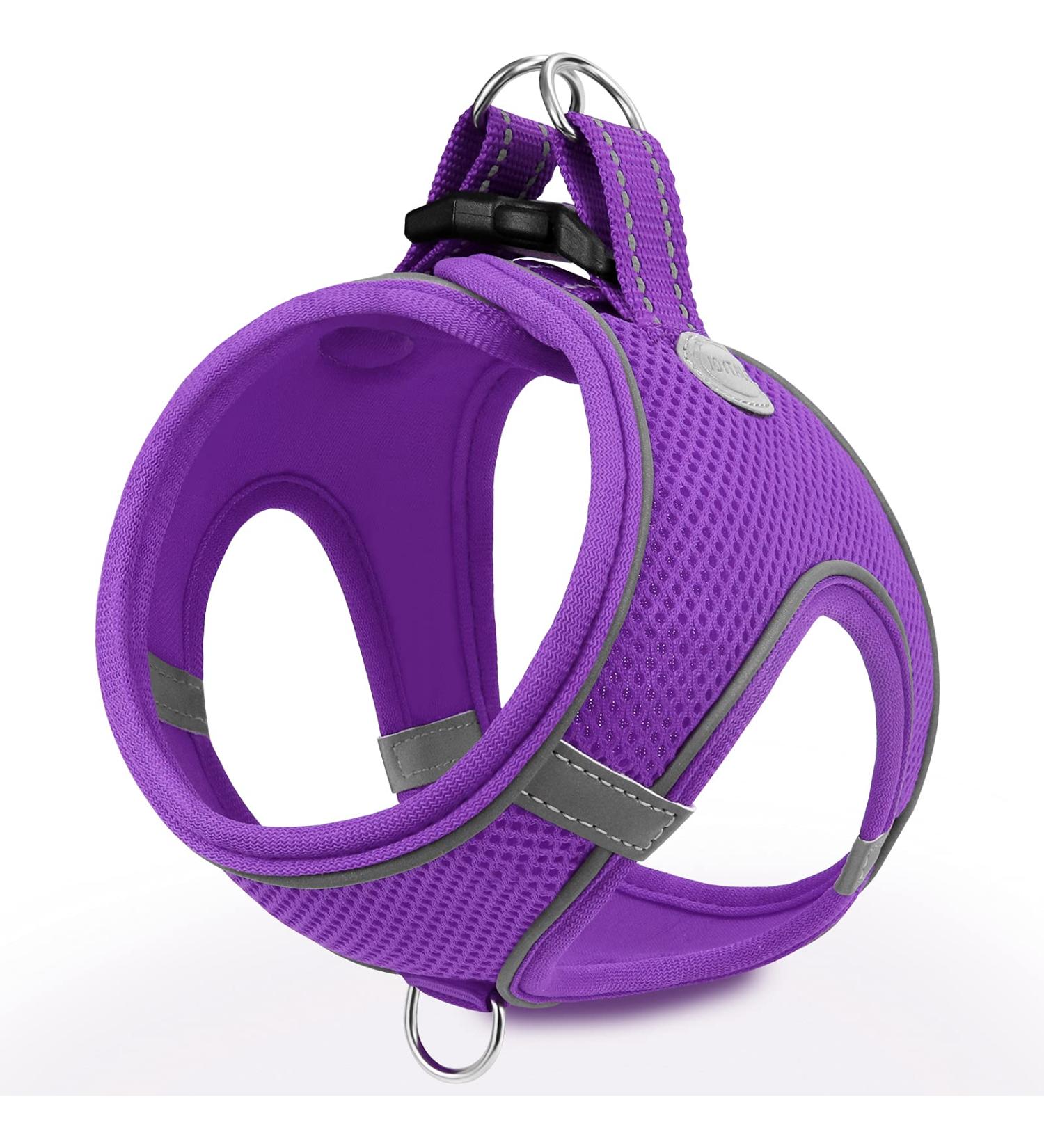 Joyal Dog Harness - Reflective Soft Padded Air-Mesh for Small Dogs & Cats XXS (31-34cm) - Purple - Buy Online on GoSupps.com