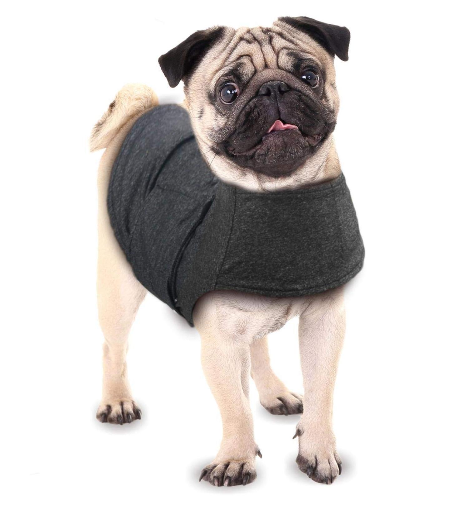 PETGARD Calming Vest for Dogs | Anxiety Control Coat 11-18 kg (53-63 cm) - International Shipping Available - Buy Online on GoSupps.com