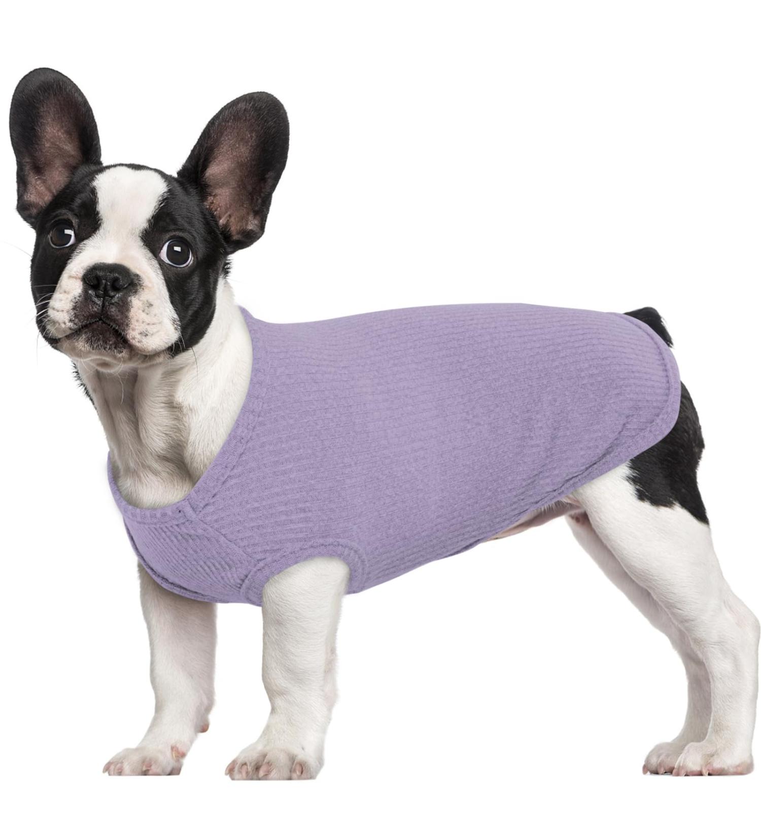 Hjumarayan Purple XS Dog Sweater for Small Dogs - Washable Elastic Striped Sweater for Chihuahua & Yorkshire Terrier - Buy Online on GoSupps.com