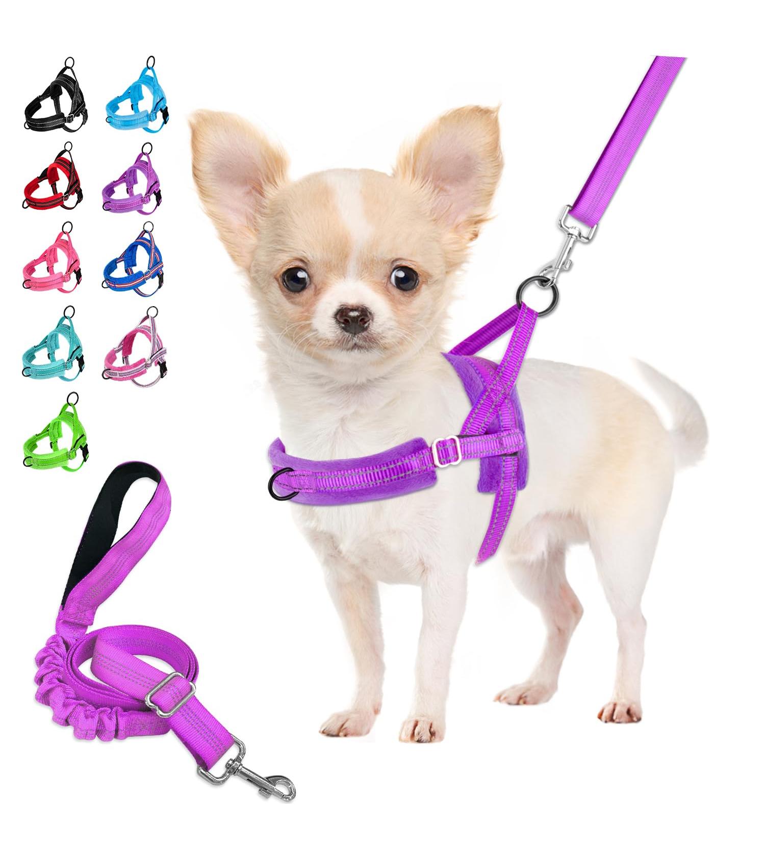 Eyein No-Pull Dog Harness with Leash | Soft Padded Reflective & Adjustable for All Breeds | XXS Purple - Buy Online on GoSupps.com