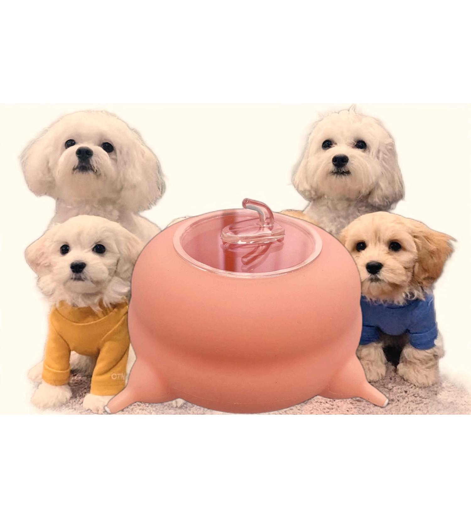 Puppy Milk Feeder with Four 4 Nipples Silicone Puppy Nursing Station Pet Milk Feeder Bowl for Kittens  Puppies  Rabbits Kitten Nipple Puppy Feeder Capacity 200ml 6.76us fl oz Pink - Buy Online on GoSupps.com