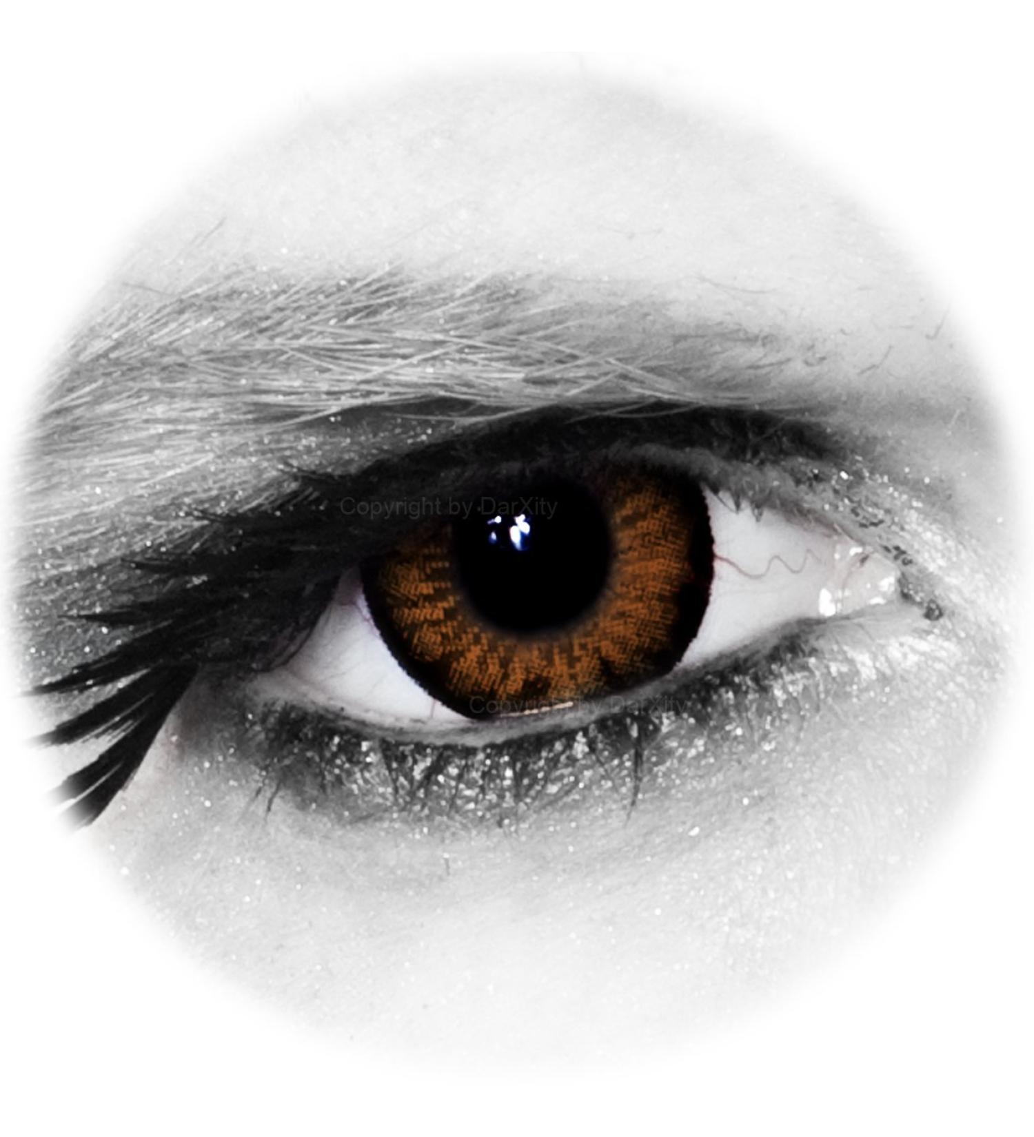 Big Sexy Brown Colored Contact Lenses - Sweet Honey for Stunning Big Eyes | Free Container | Darxity - Buy Online on GoSupps.com