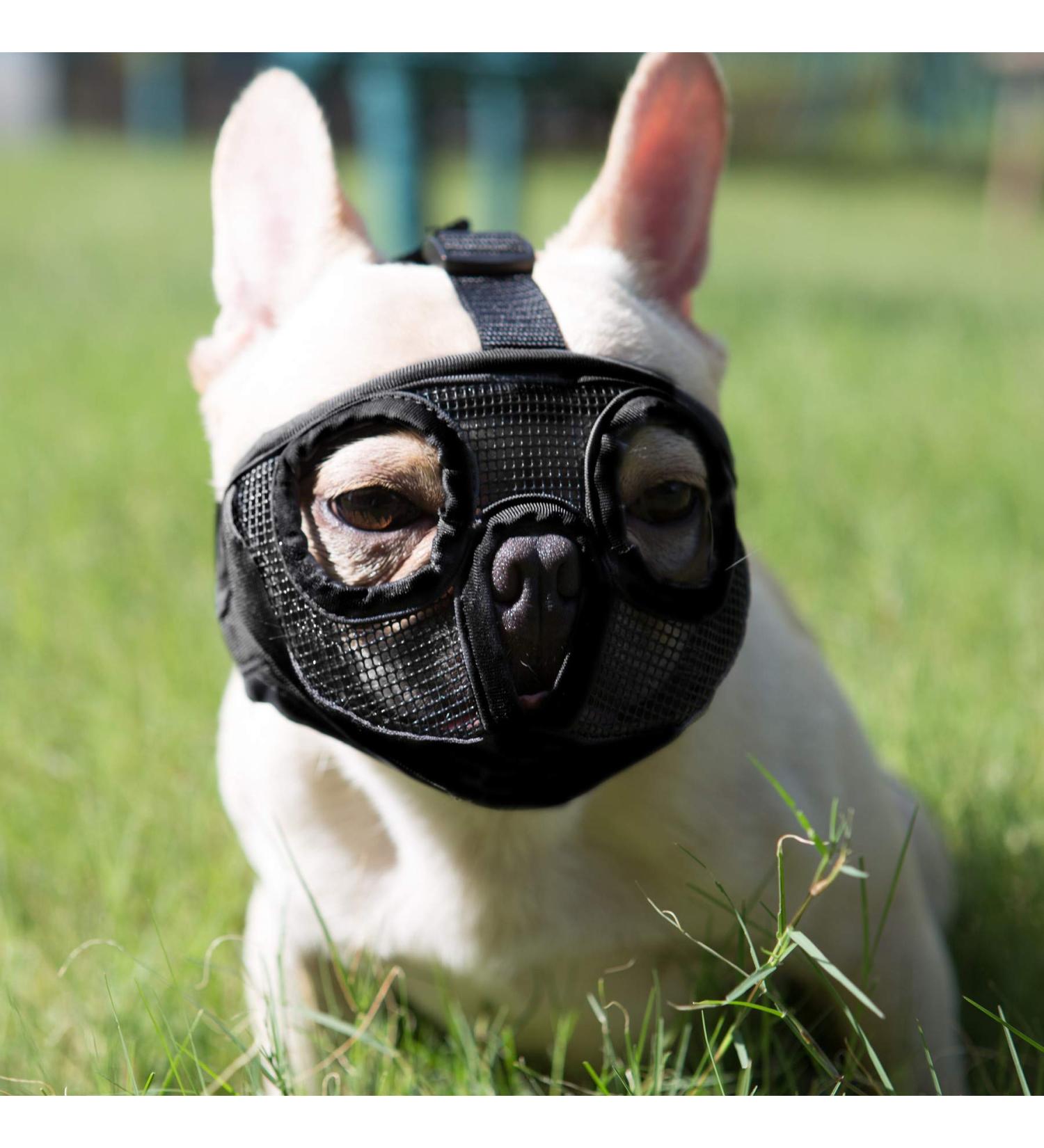 Jyhy Adjustable Muzzle for Dogs & Cats - Breathable Design for English Bulldogs French Bulldogs Pugs & More | Size M (28-43cm) - Black - Buy Online on GoSupps.com