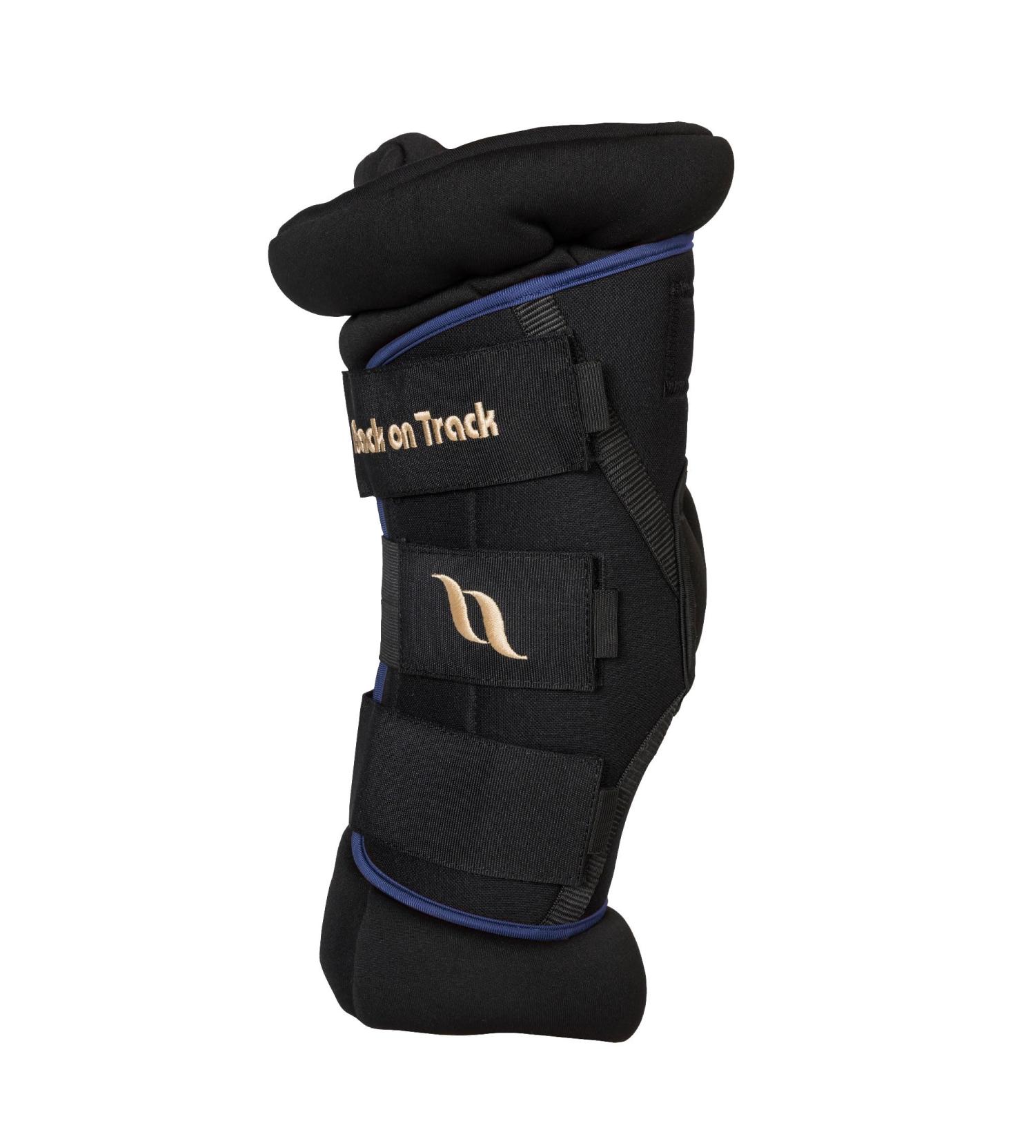 Back on Track Royal Ankle Guard Deluxe Supportive Ankle Brace in Black & Blue (S Size) - Buy Online on GoSupps.com