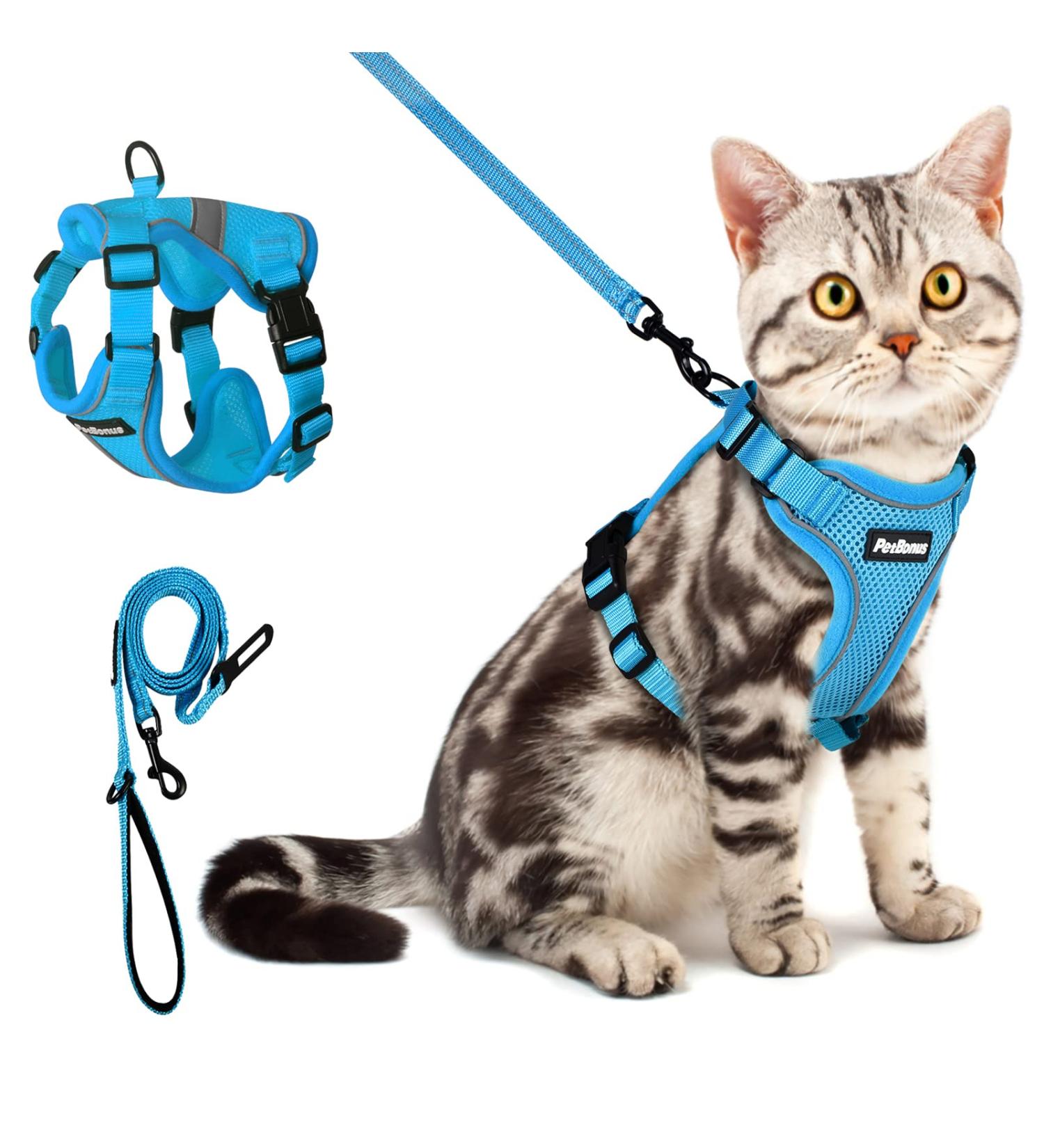 Petbonus Adjustable Cat Dishes with Leash Break-Out | Soft & Breathable Cat Bowls for Kittens | Reflex Strips - Small Blue - Buy Online on GoSupps.com