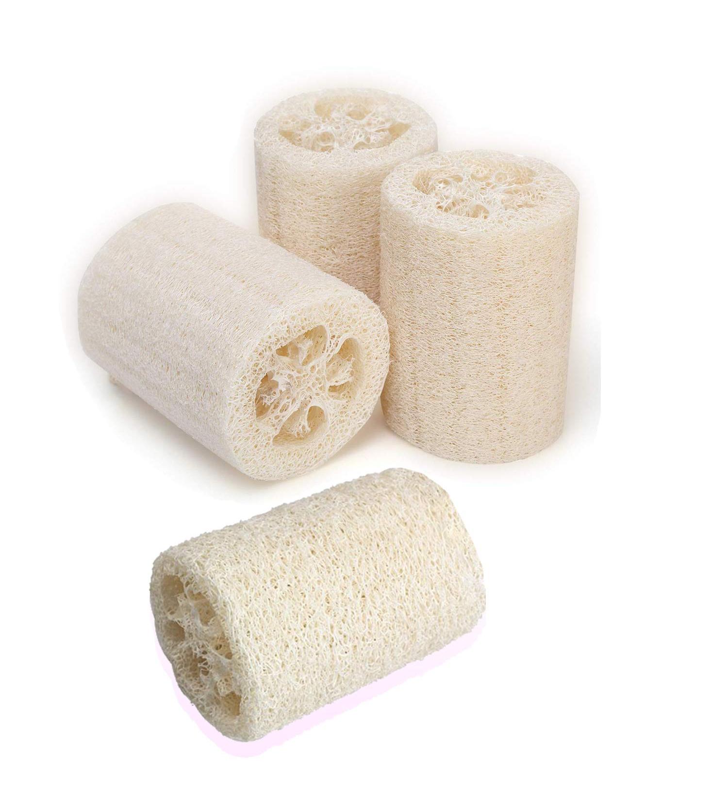 4 Pack Exfoliating Natural Loofah Bath Body Shower Sponge Scrubber - Premium Quality Luffa for Men and Women - Buy Online on GoSupps.com