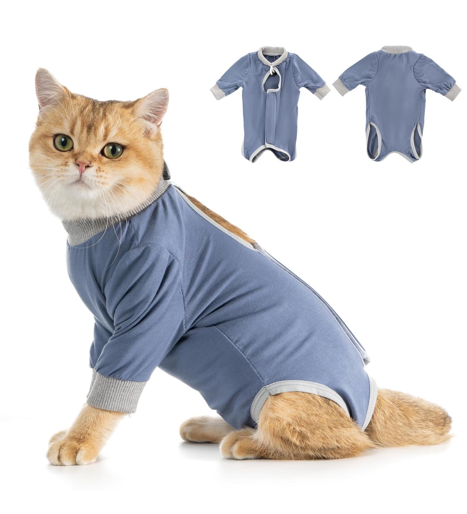 Avont Katzenbody Recovery Suit for Cats - Modal Leak Protection for Abdominal Wounds & Skin Diseases | Spay/Castration Weaning Clothing - Gray-Blue L - Buy Online on GoSupps.com