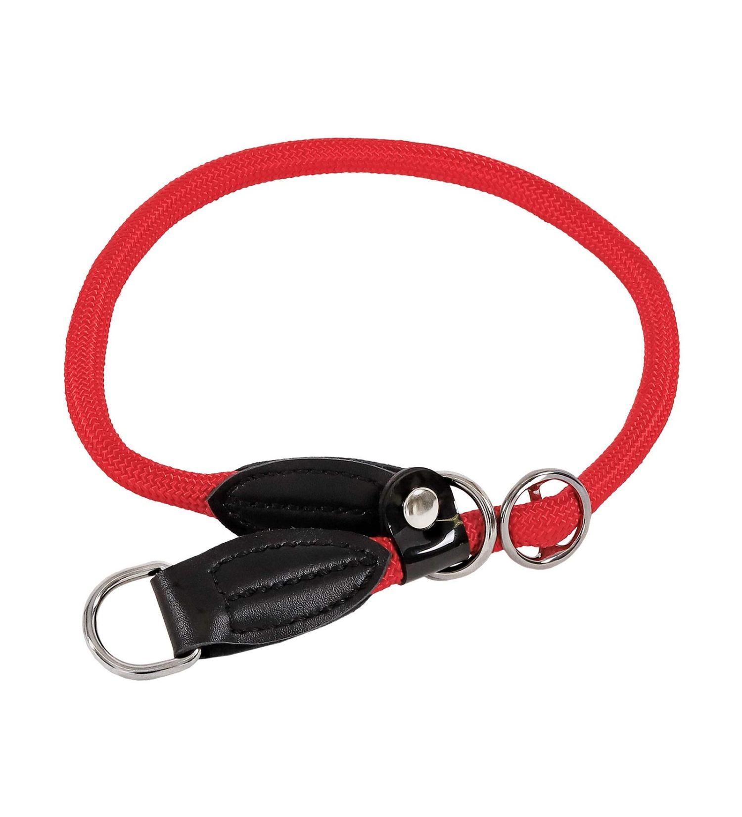 Lionto Dog Collar - Red Retriever Training Collar 65 cm Length 1 cm Thickness - International Shipping Available - Buy Online on GoSupps.com