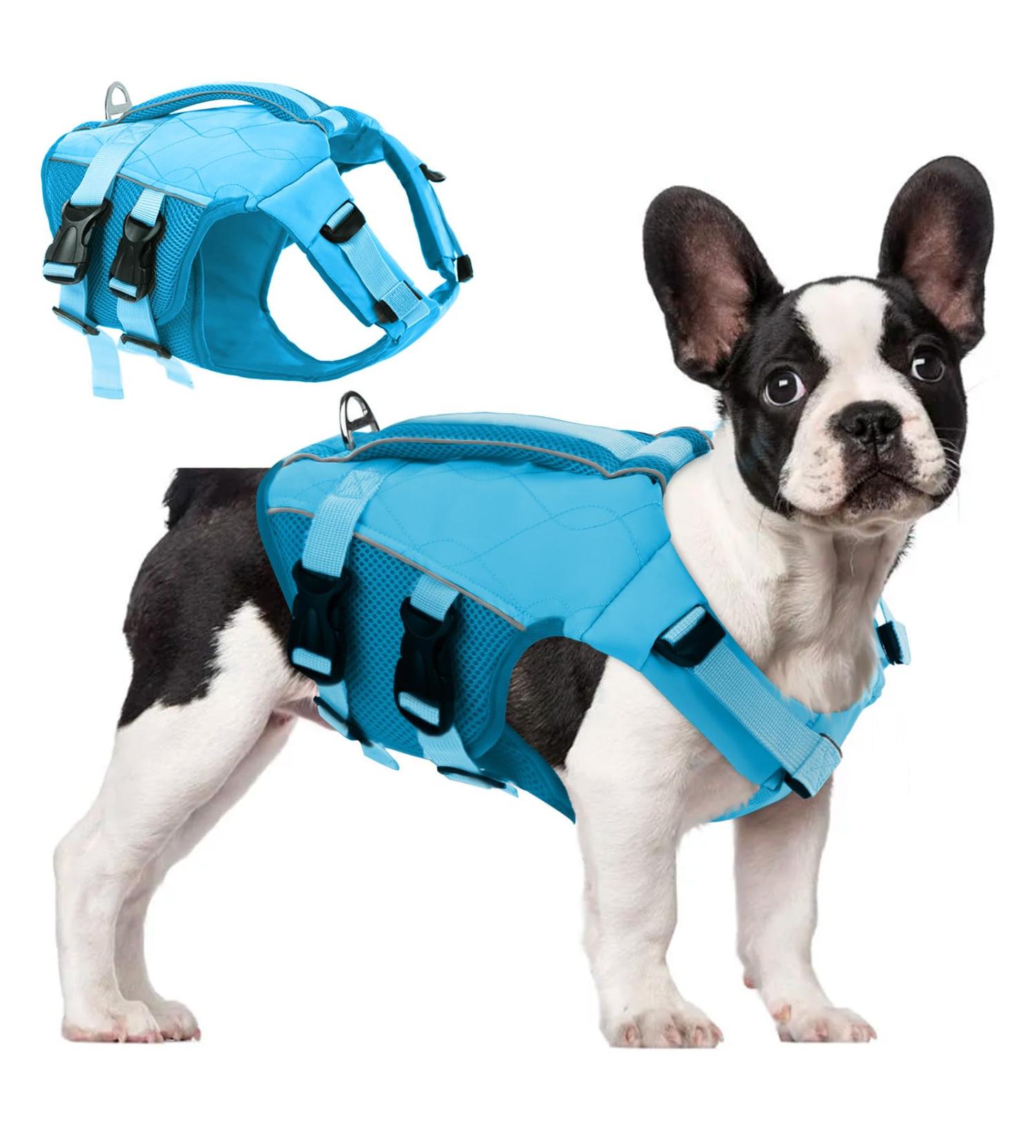 Asenku Adjustable Ripstop Dog Wabels for Small Medium & Large Dogs - Reflective Chimney for Boating Swimming & Surfing - XS Blue - Buy Online on GoSupps.com
