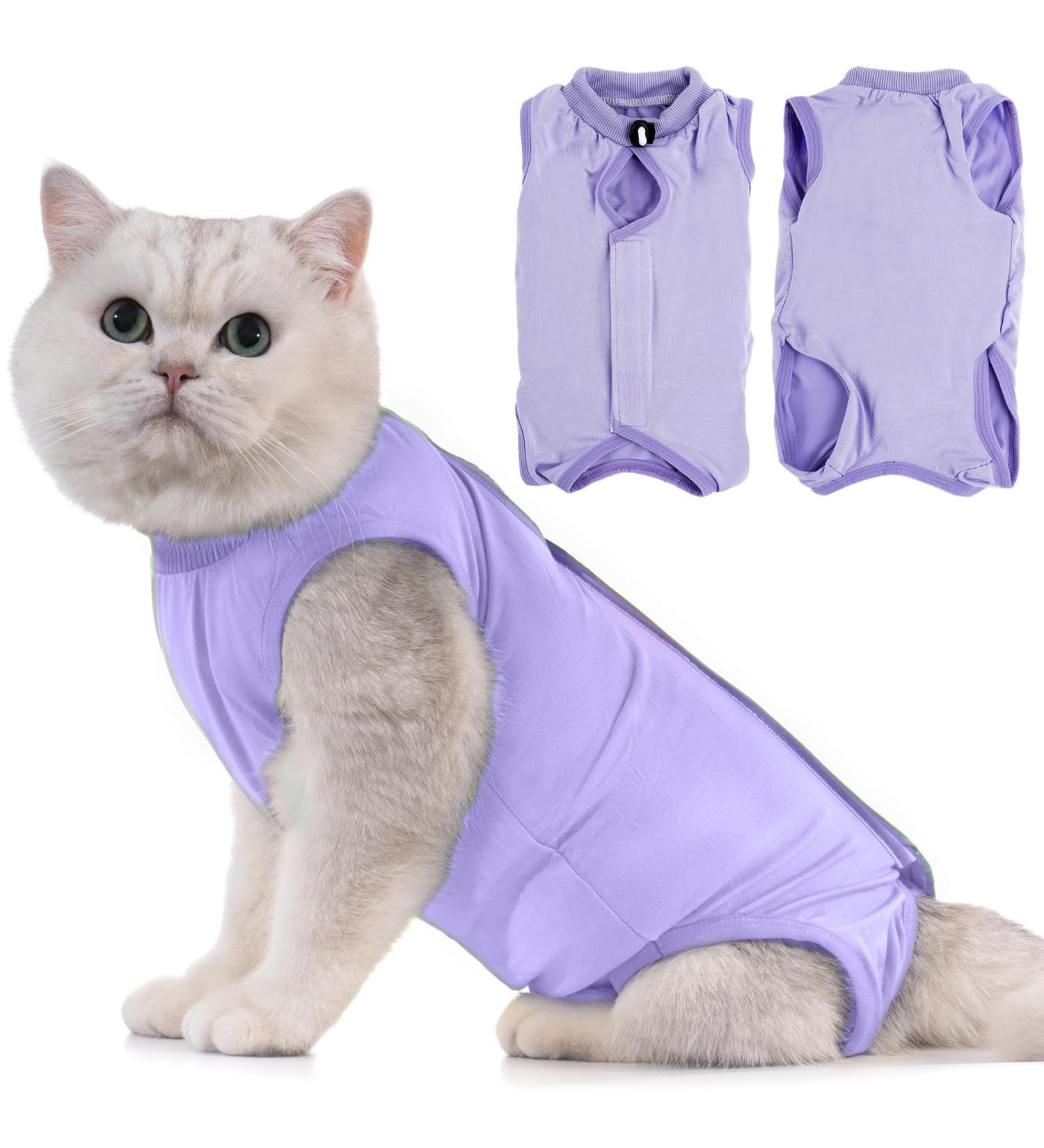 Avont Katzenbody Post-Op Recovery Suit for Cats | Leak Protection & Comfort | Lavender - Ideal for Abdominal Wounds & Skin Conditions - Buy Online on GoSupps.com