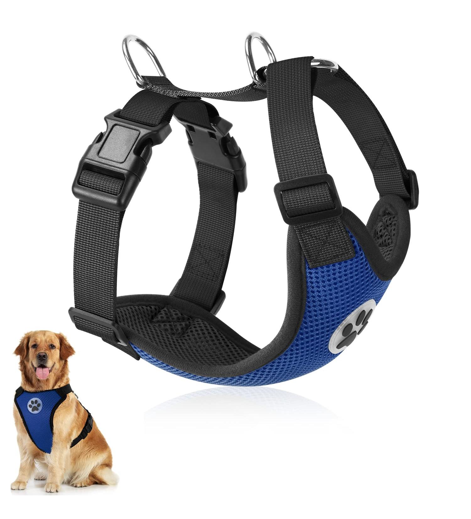 Slowton Dog Harness for Small & Medium Dogs | No Pull Safety & Soft Padded Breathable Blue Harness - Buy Online on GoSupps.com
