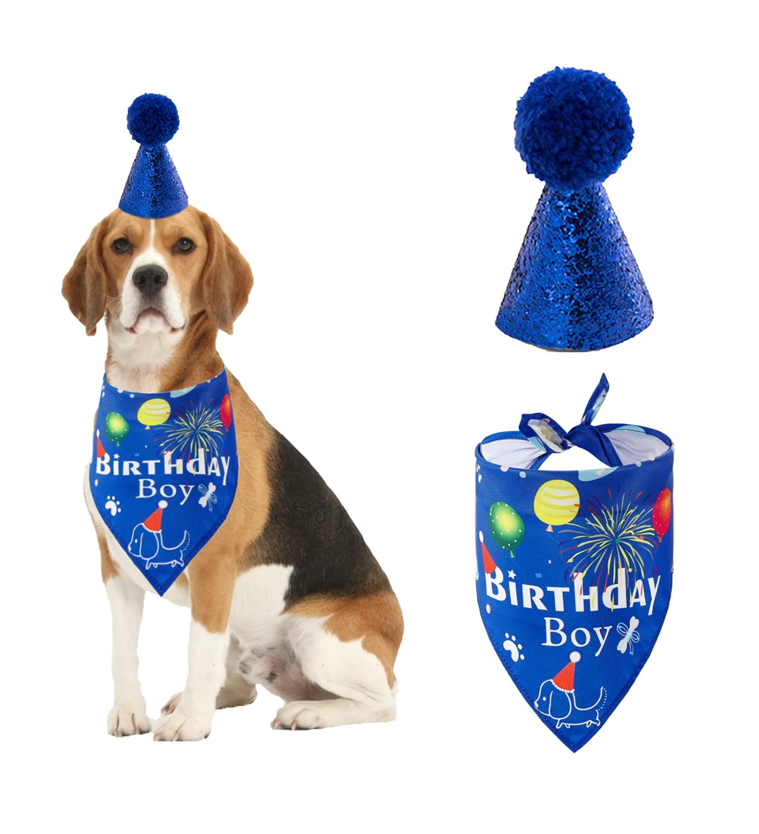 Dog Birthday Bandana Hat Set | Party Supplies for Small & Medium Dogs | Cute Blue Scarf for Puppy Celebrations - Buy Online on GoSupps.com