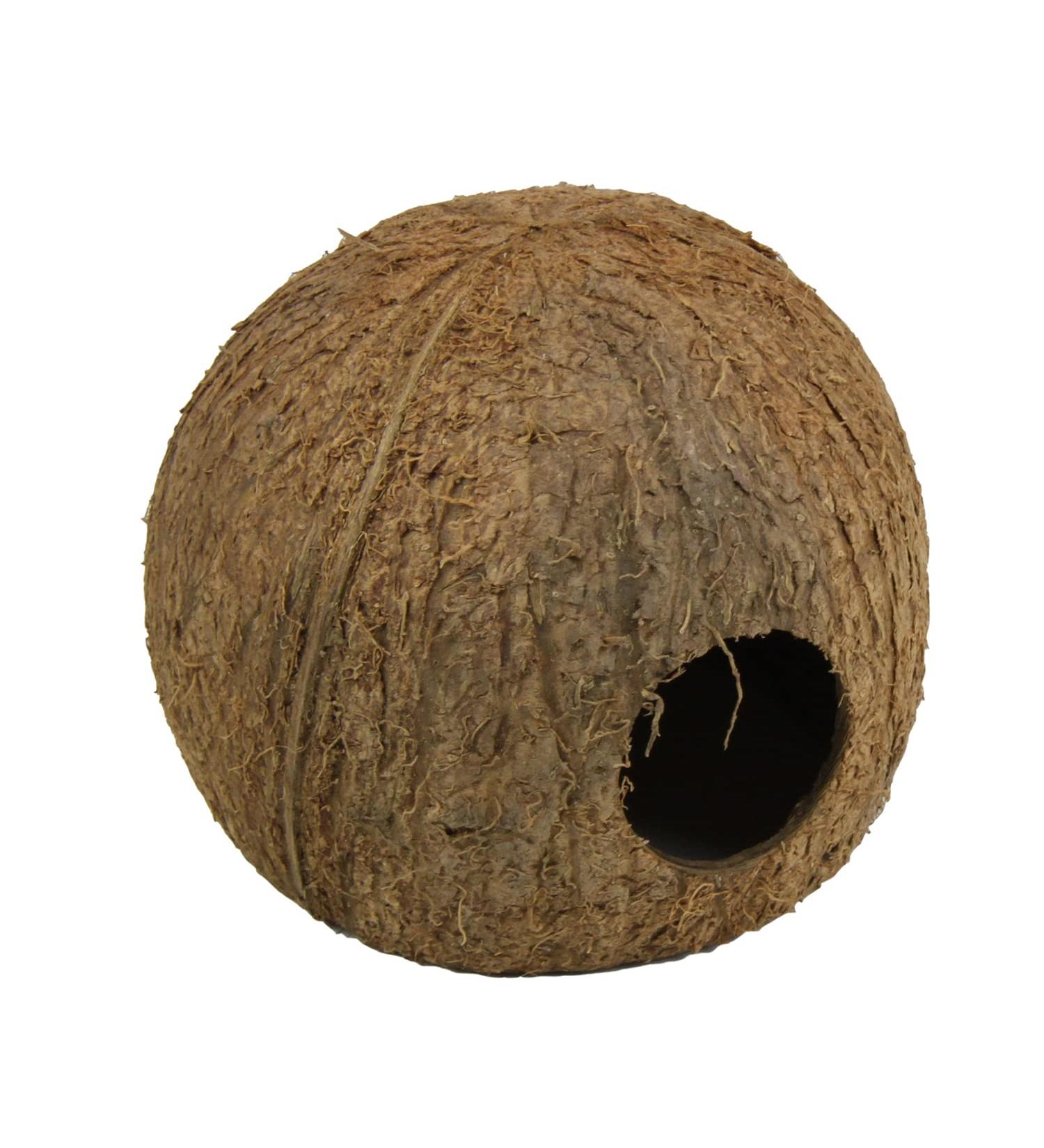 JBL 61512 Cocos Cava Coconut Shell Cave for Aquariums & Terrariums - Natural Hideout for Fish & Reptiles - Buy Online on GoSupps.com