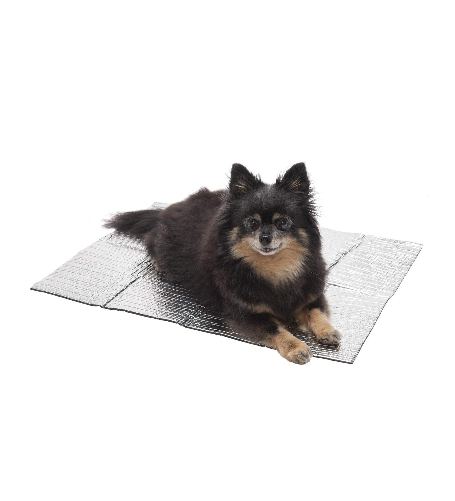 Furhaven Pet Cot Bed with Metal Frame & Self-Warming Thermal Mat - Small Silver - Buy Online on GoSupps.com