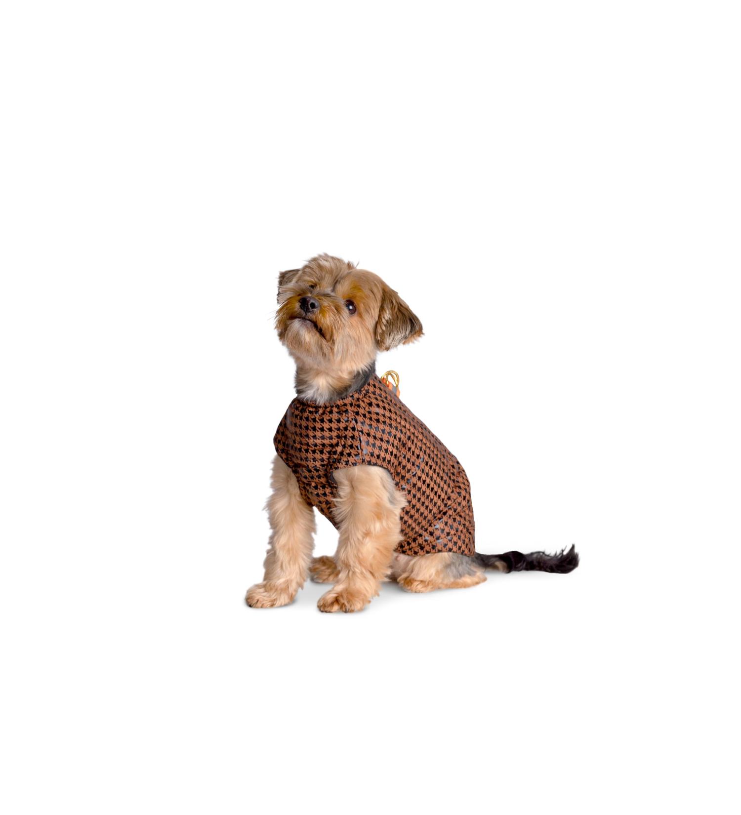 Selente Paw Parade Waterproof Dog Coat for Small & Medium Dogs | Fleece Lined Rain Jacket | EU Made | Brown/Black - Buy Online on GoSupps.com