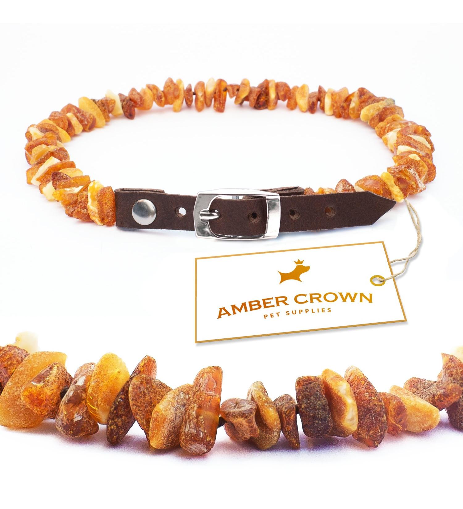Premium Amber Necklace for Dogs & Cats | Leather Clasp | Flea & Tick Protection 30-35cm - Buy Online on GoSupps.com