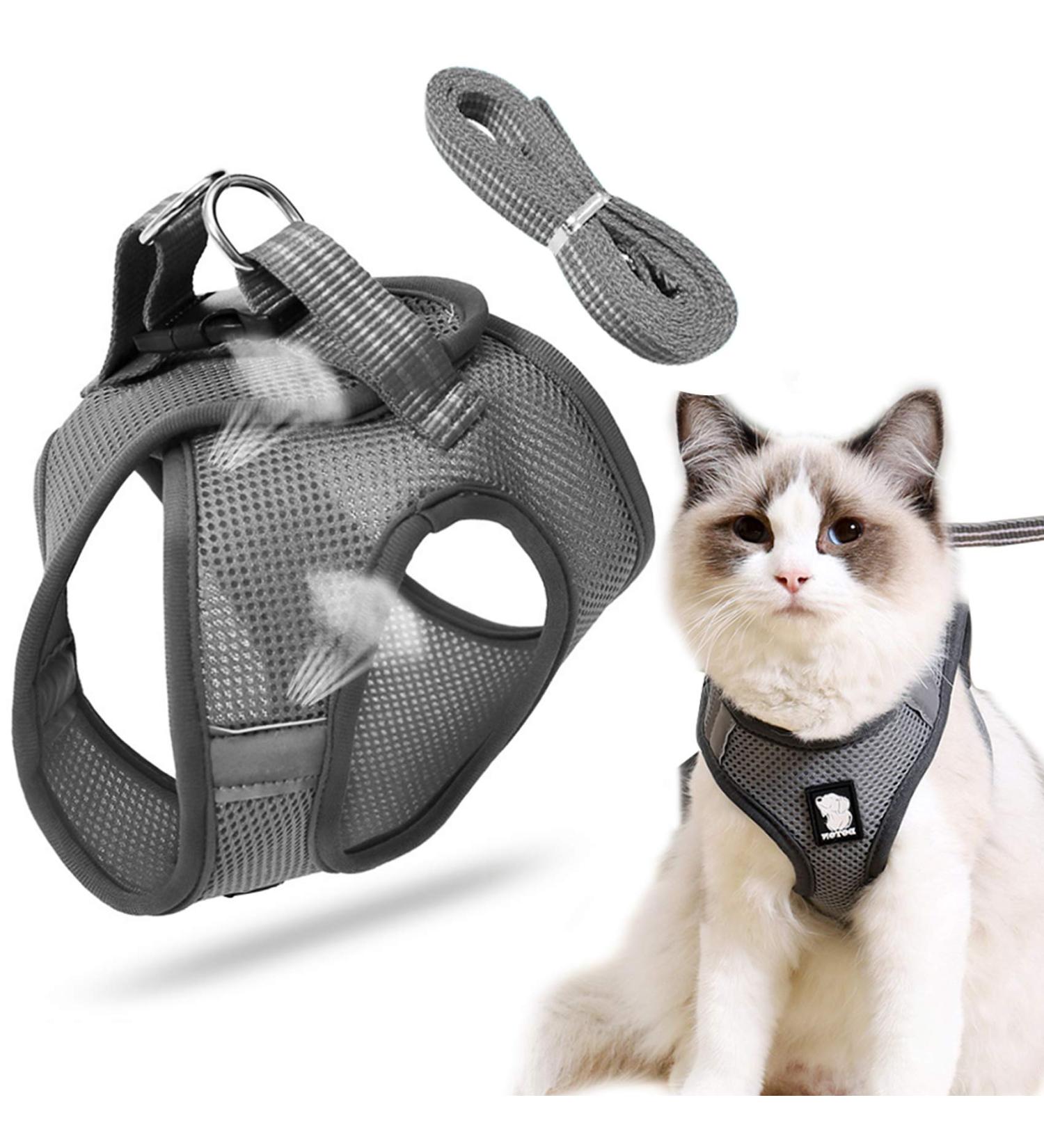 Premium Cat Dishes & Harness Set for Outdoor Walking | Cat Leash & Feeding Solutions - Buy Online on GoSupps.com