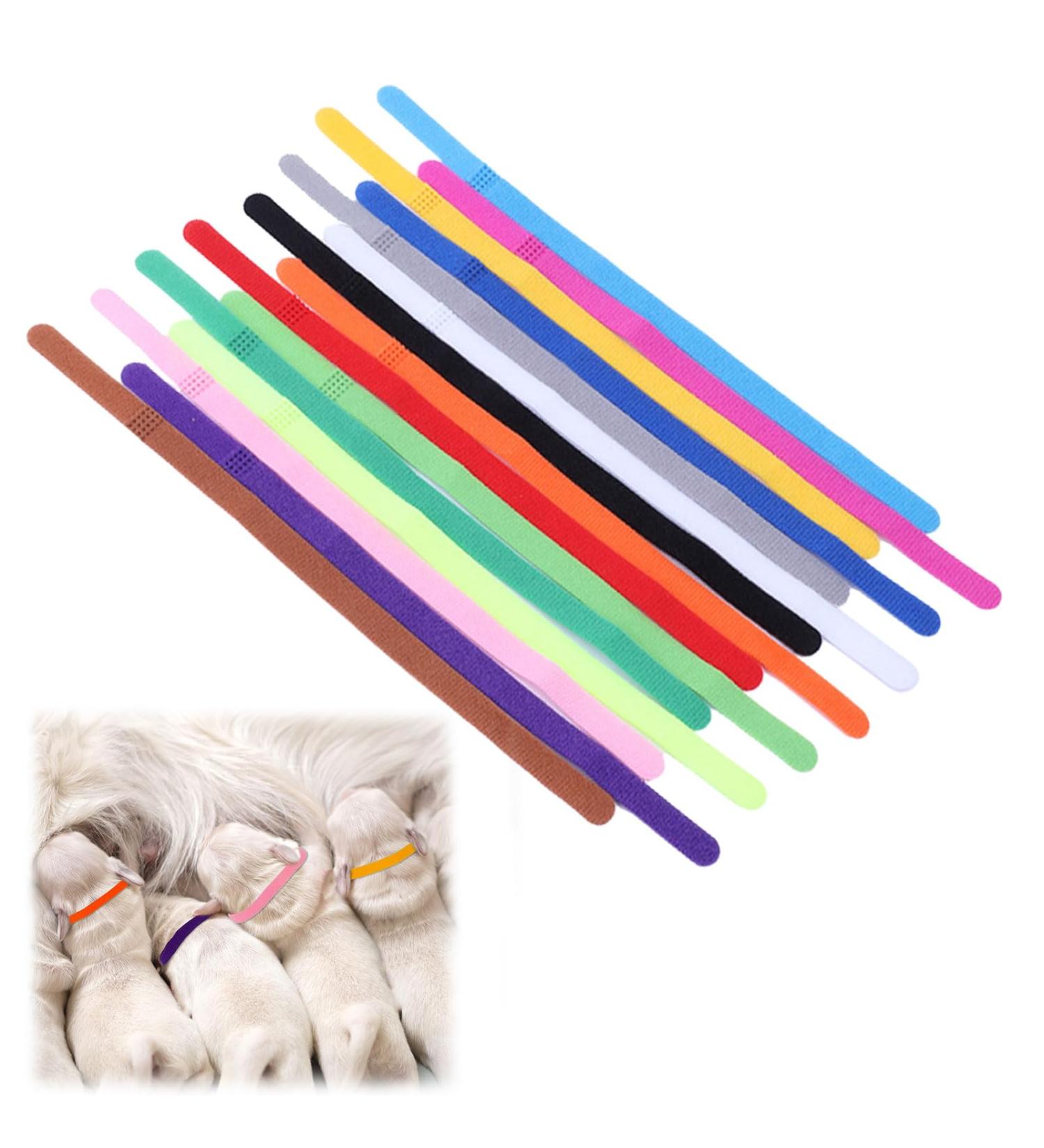 15PCS Puppy ID Collars Easy to Use Adjustable Newborn Kitten Collars Soft Fabrics Whelping Collars for Kittens Neck of the Puppy and Dog - Buy Online on GoSupps.com